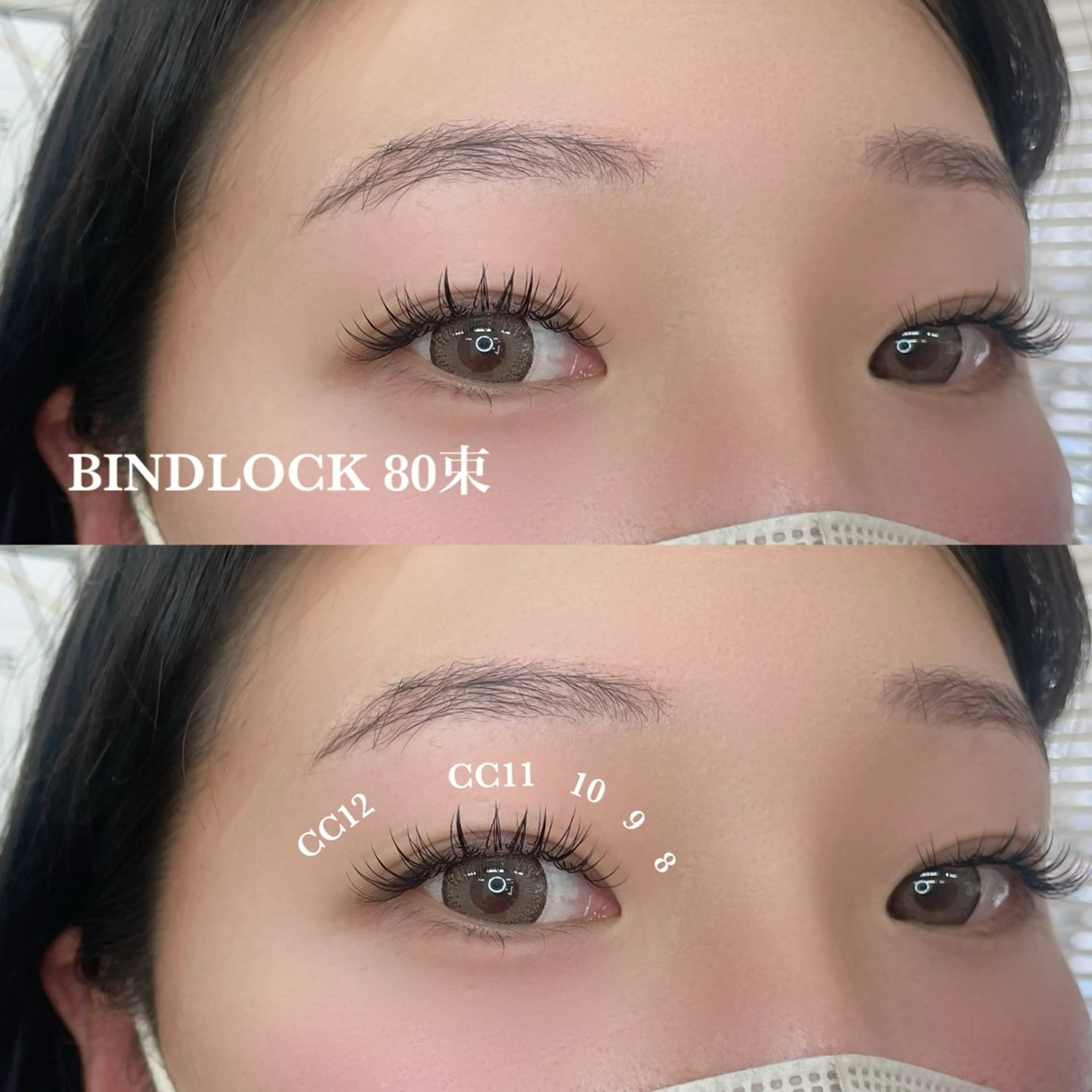 バインドロック80束の写真