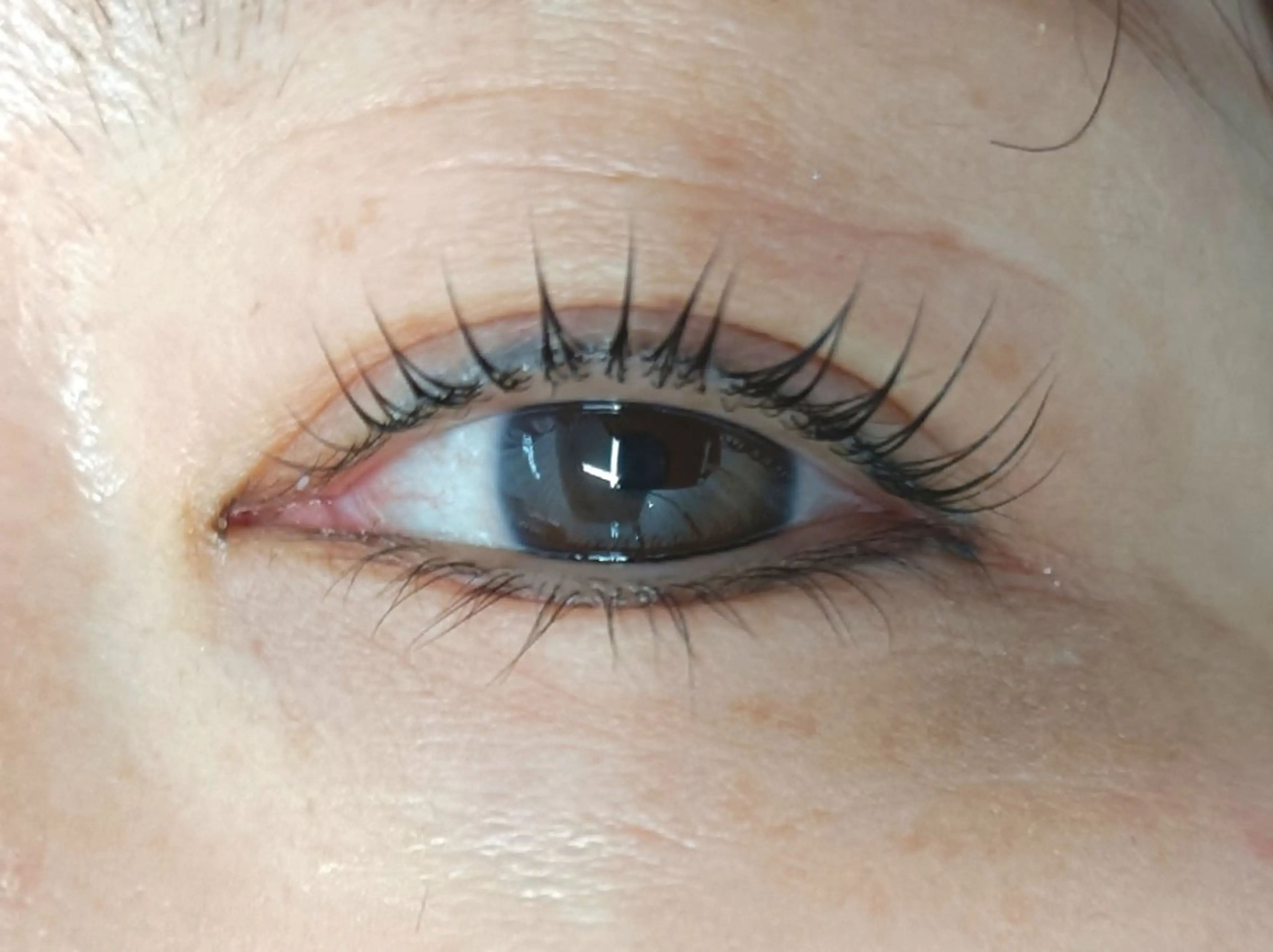 マツエク・マツパ 🫧🐰渋谷. INOUE🐰🫧の眉毛・アイブロウイメージ