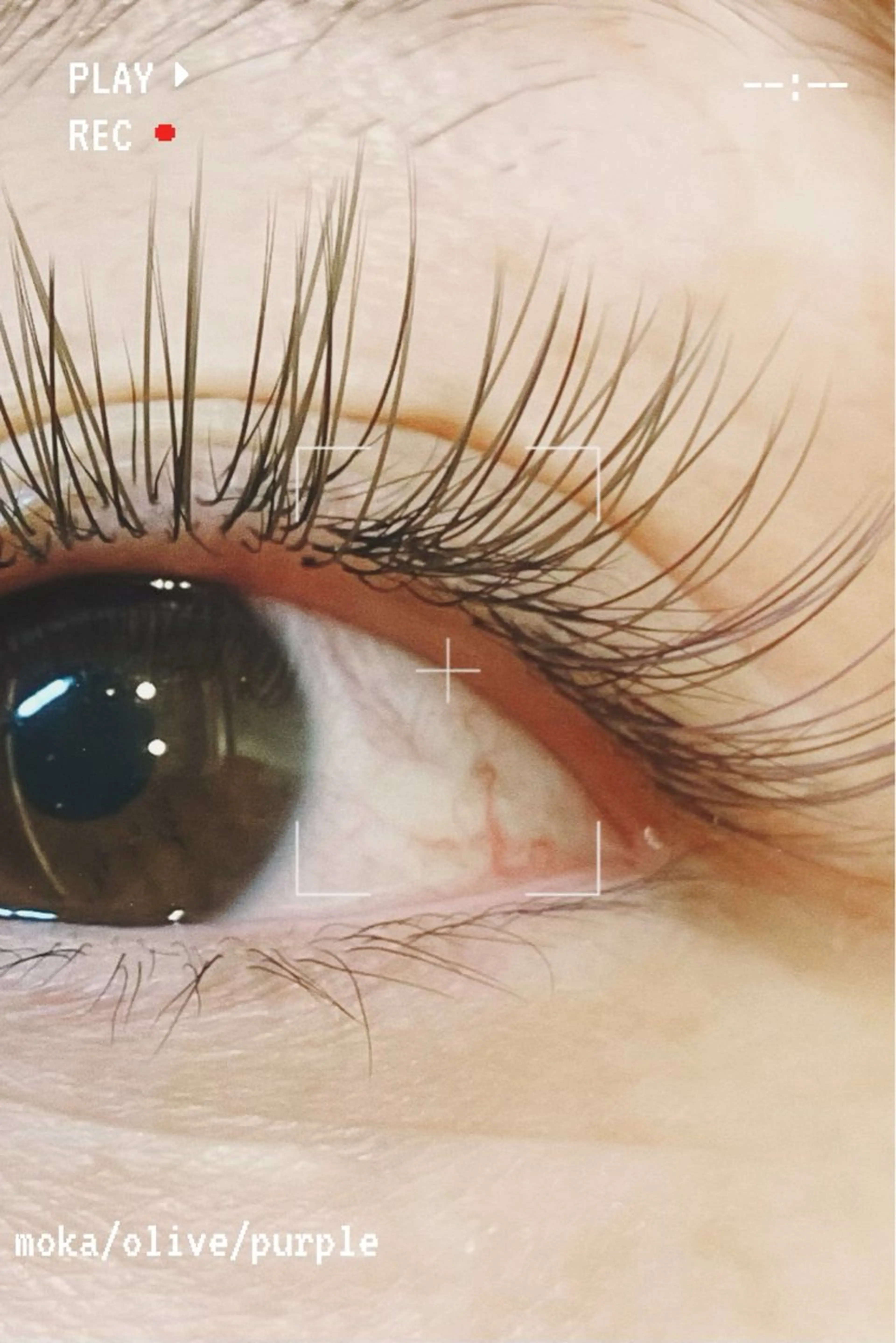 マツエク・マツパ まつげと眉毛のお店Sakura Lash【サクララッシュ】所属・【ダメージケア特化】 🌸 サクララッシュの眉毛・アイブロウイメージ