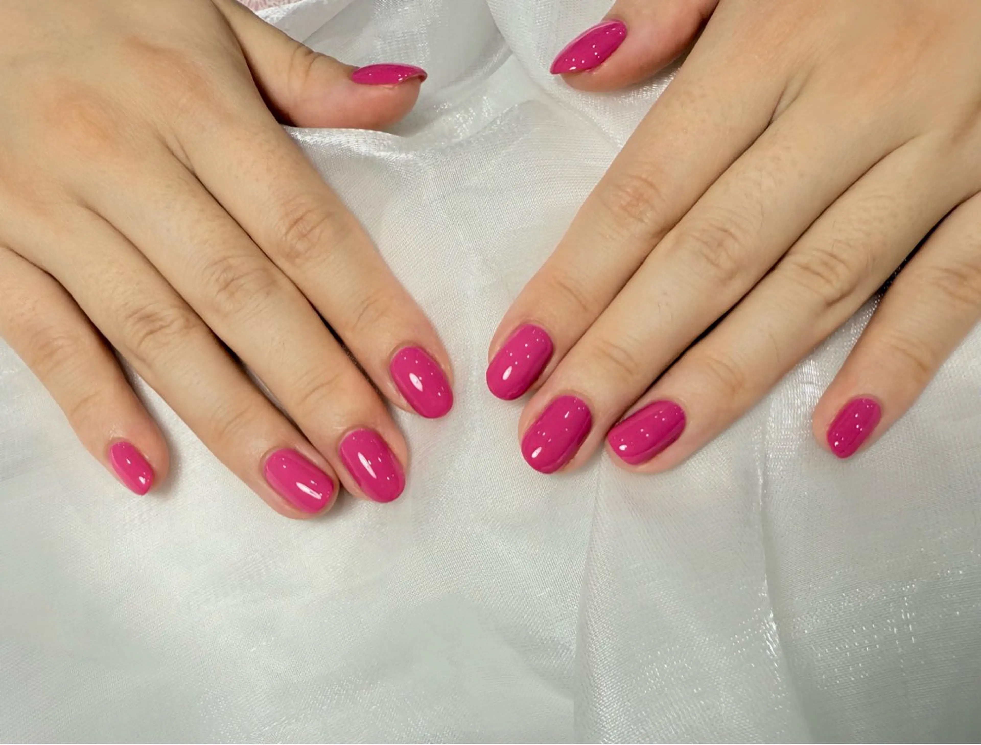 ワンカラーの写真