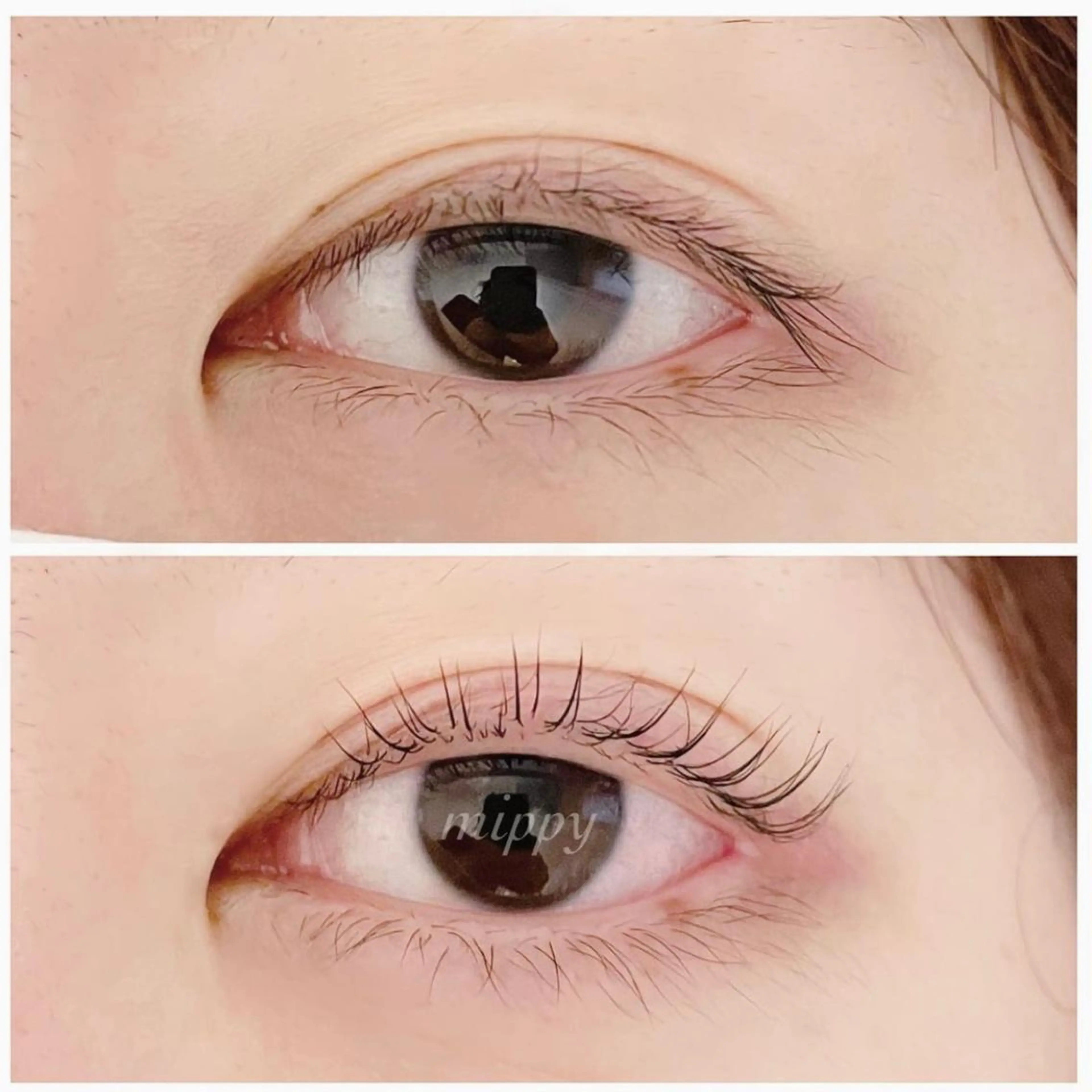 マツエク・マツパ パリジェンヌラッシュリフト ｍｉｐｐｙ 🪽のマツエク・マツパデザイン