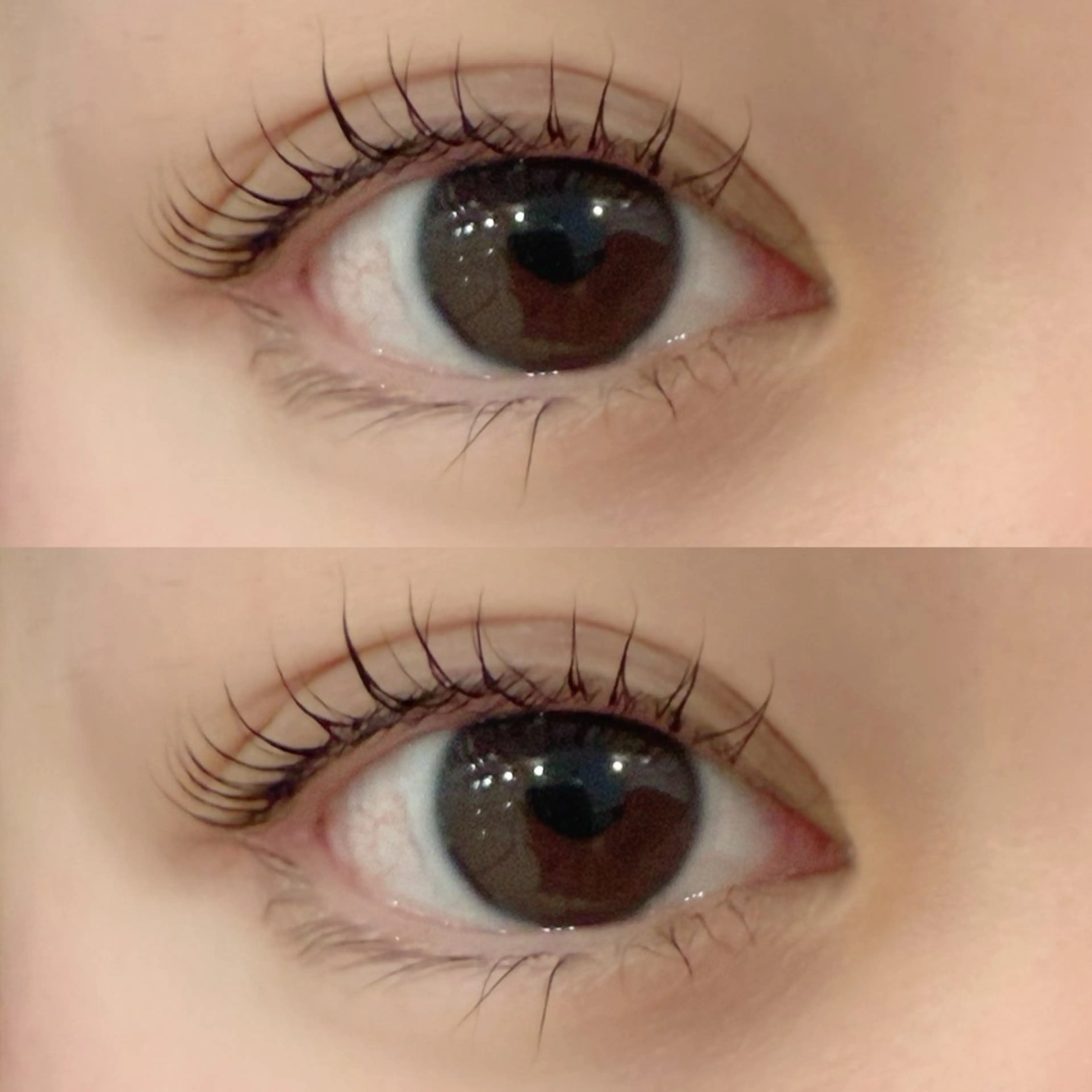 マツエク・マツパ サクラブロウ 第2ビル店　小松の眉毛・アイブロウイメージ