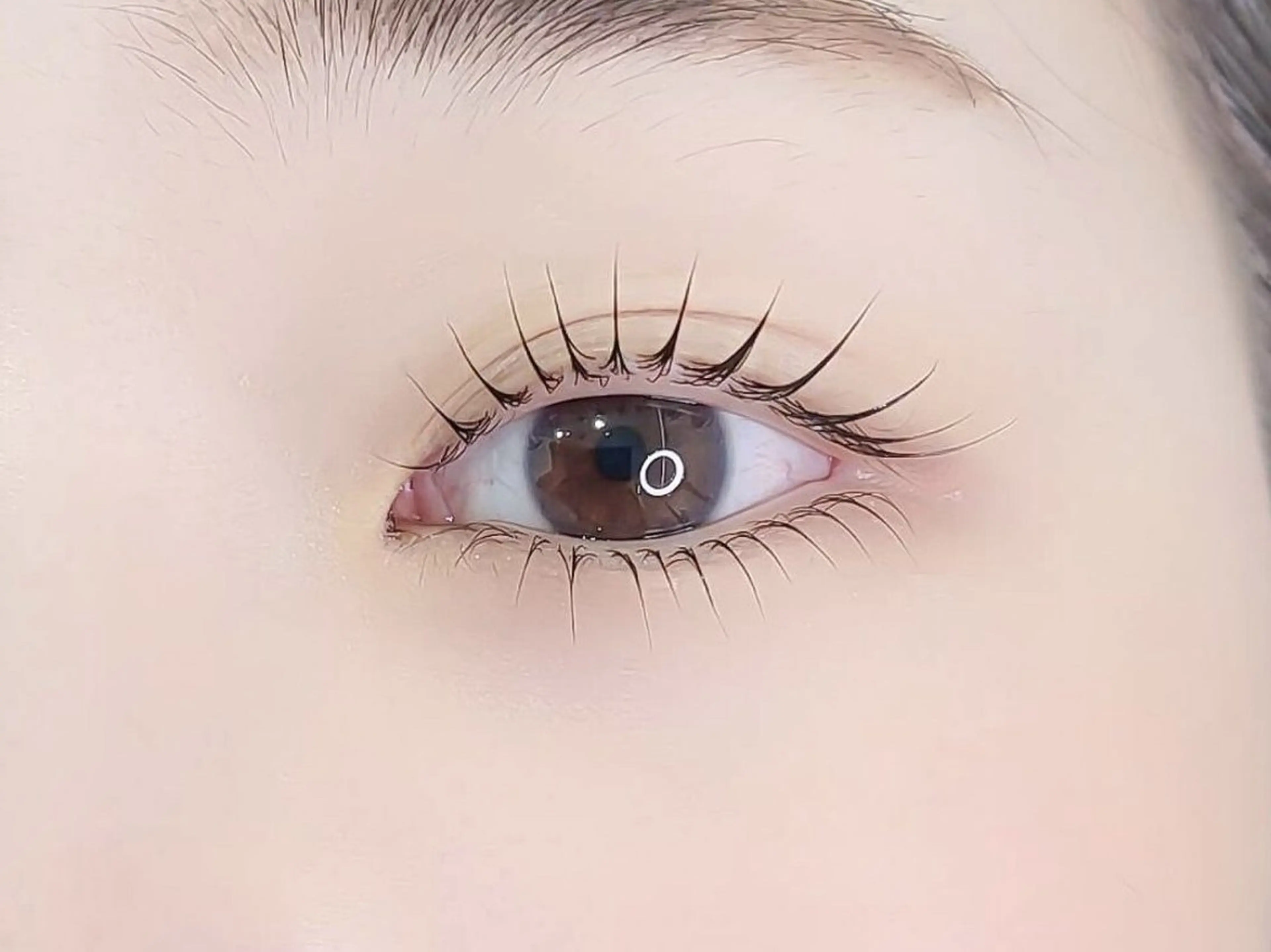 上下似合わせラッシュリフト(パリジェンヌ変更不可)の写真