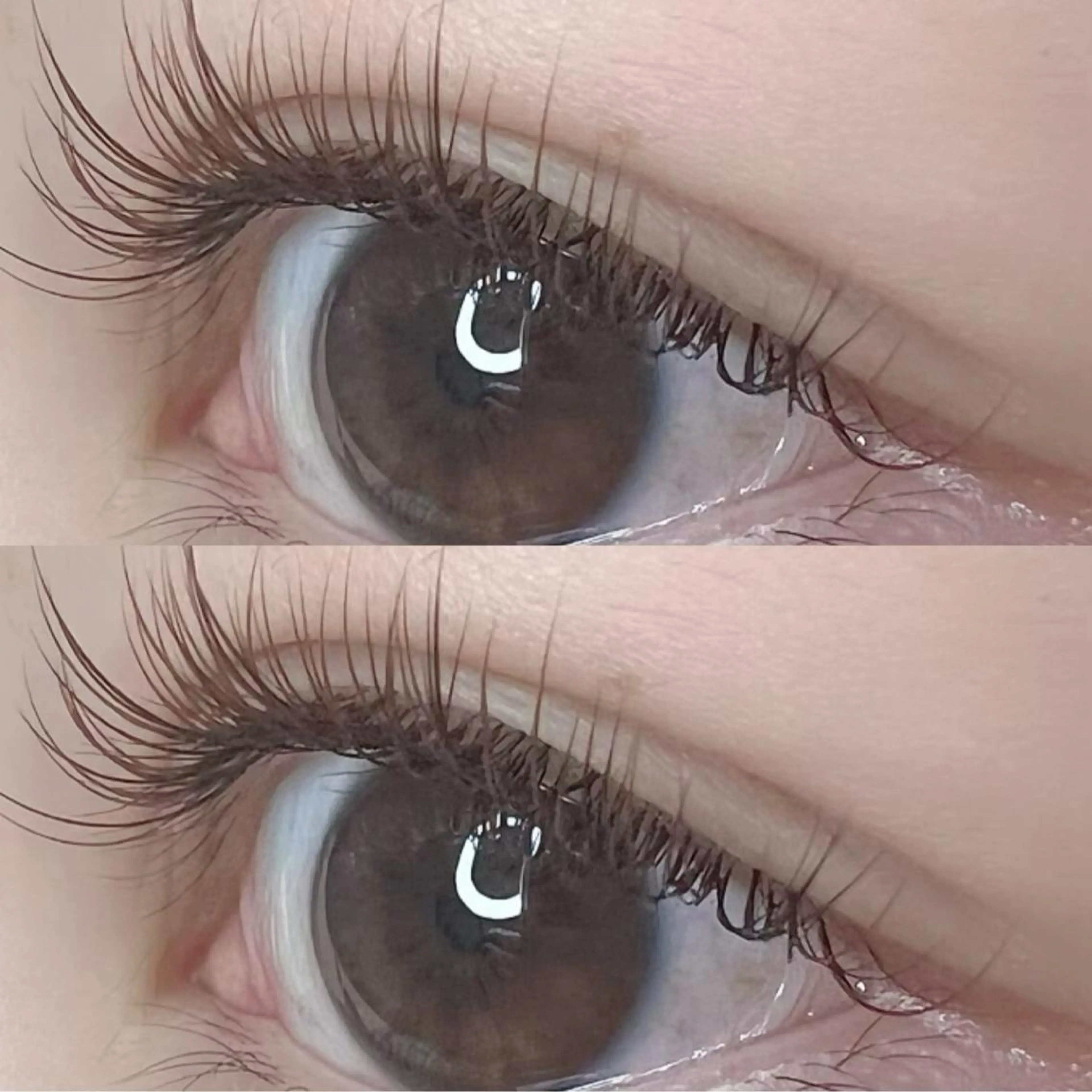 🉐当日限定☃️シングルラッシュ☃️リペア80本📕オプションで毛質変更可の写真