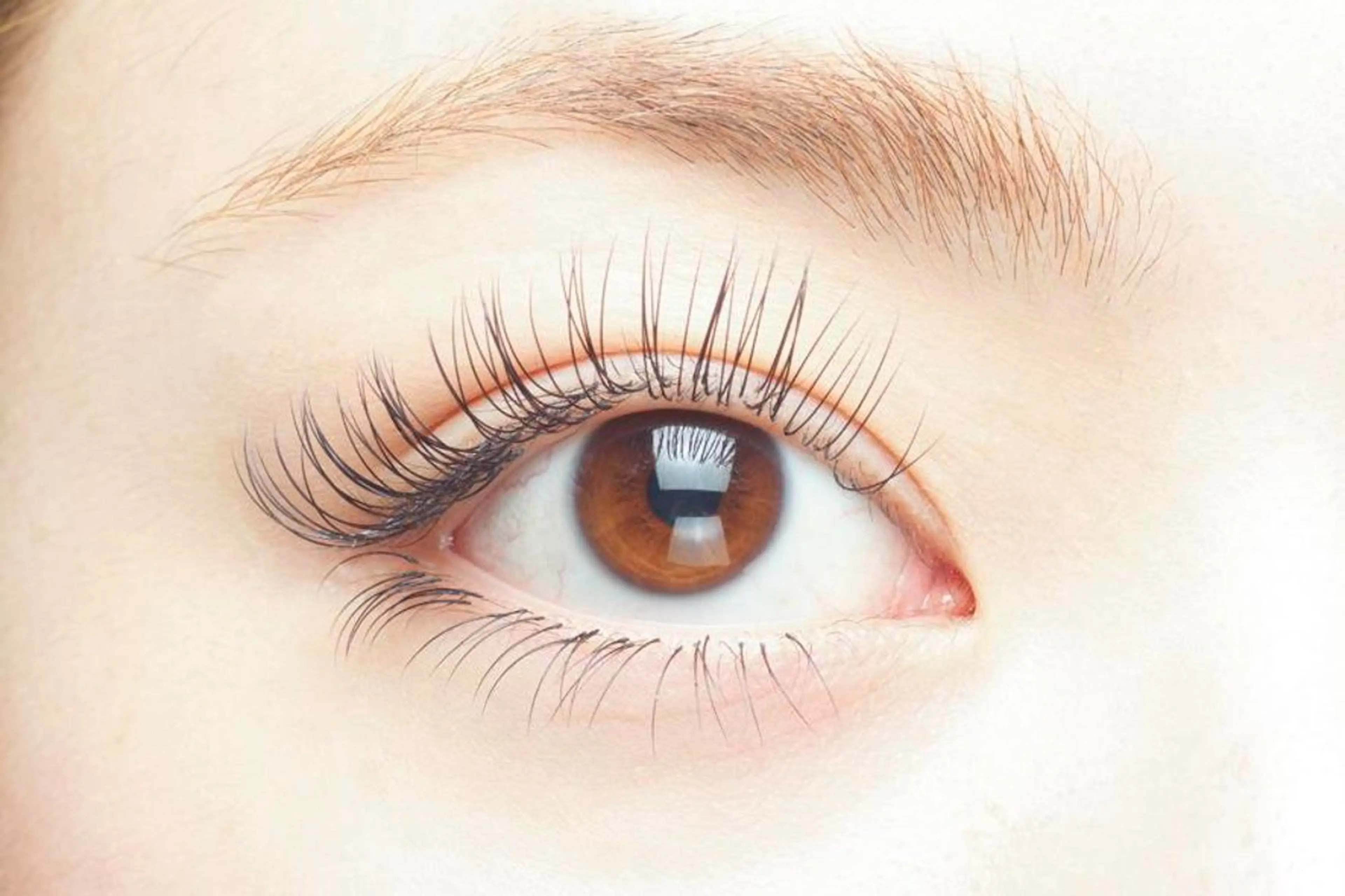 マツエク・マツパ マツエク 三宅 翔子のマツエク・マツパデザイン