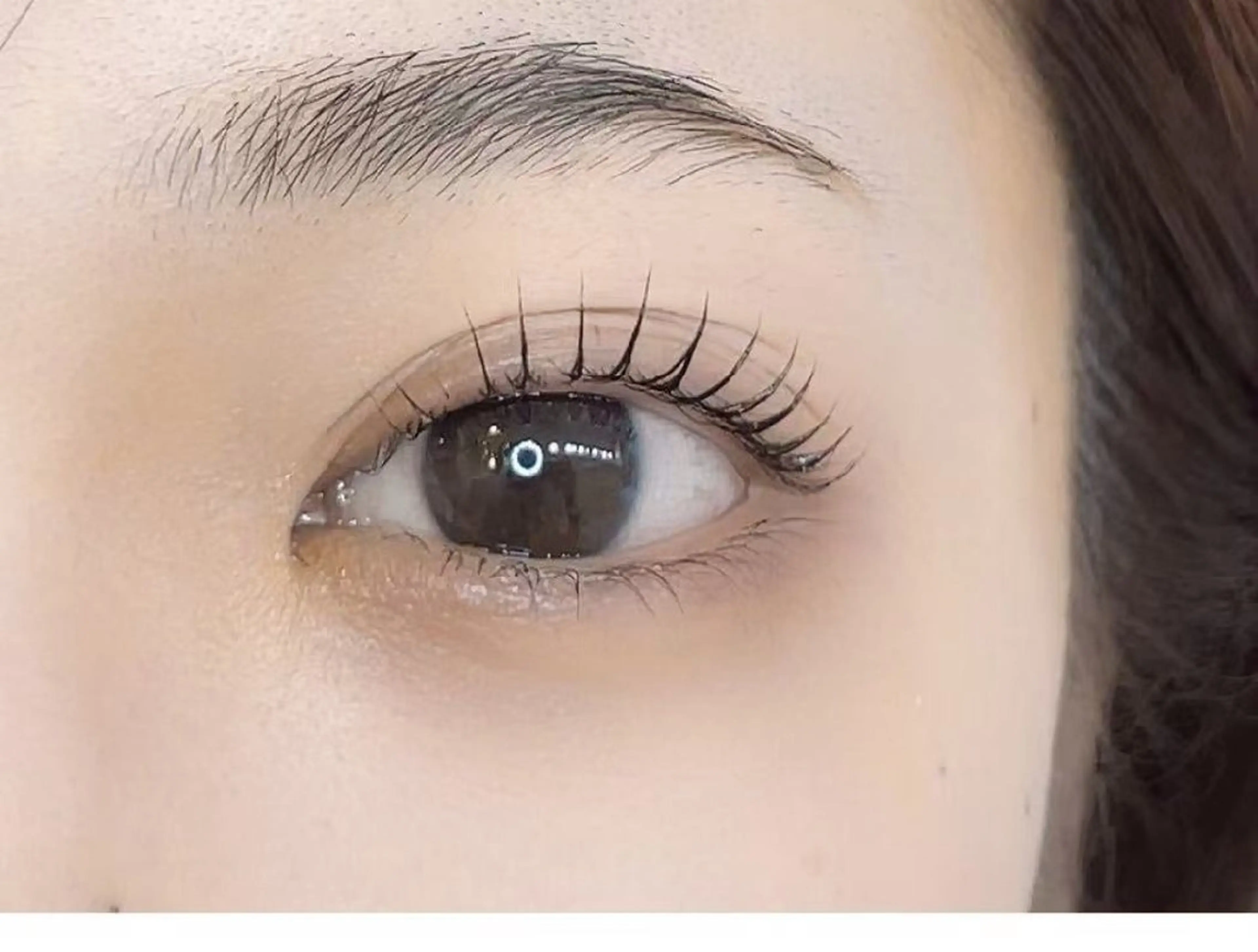 マツエク・マツパ アレグレス所属・アレグレス@池袋 🌹大人気店🌹のマツエク・マツパデザイン