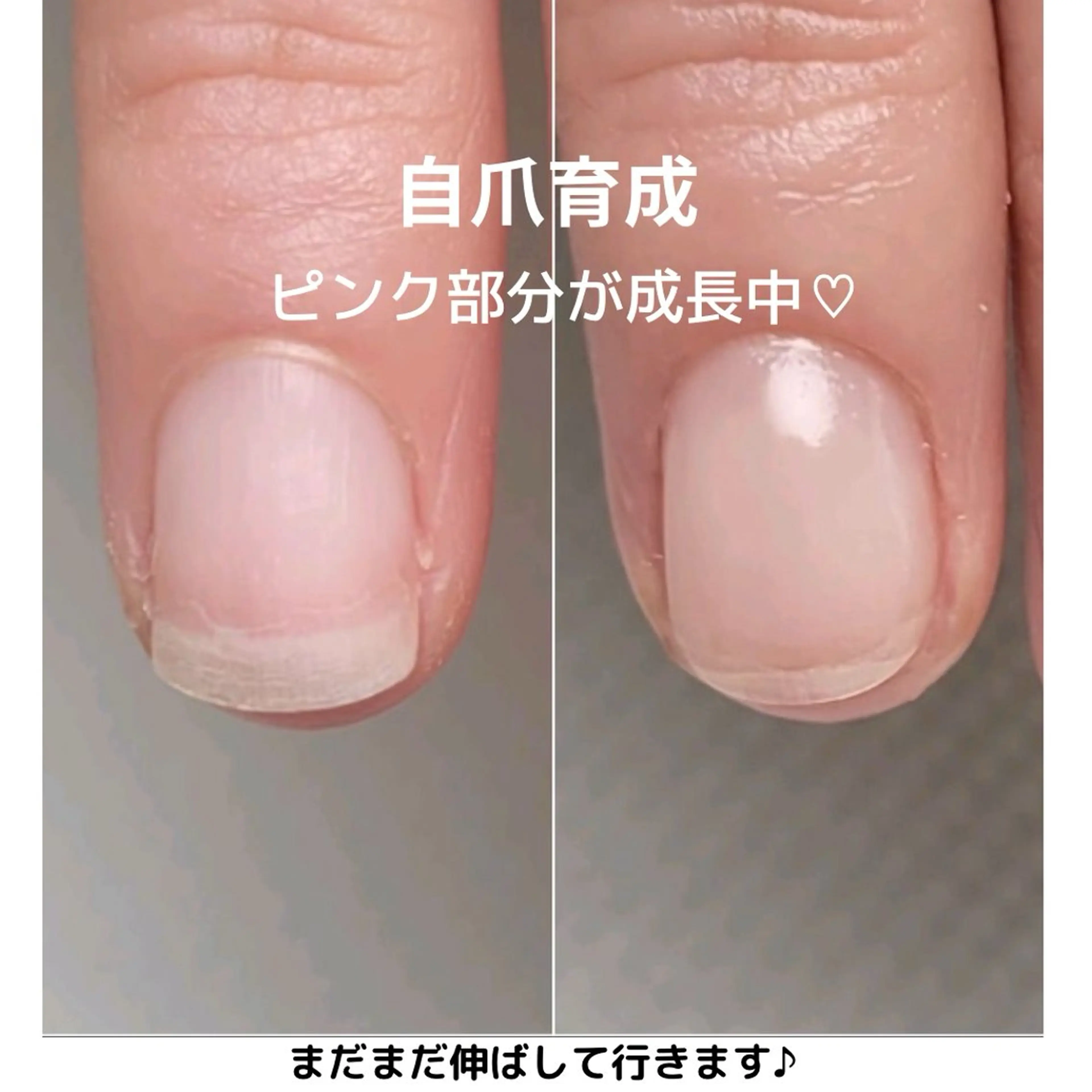 ネイル ピンク Elle& staffのネイルデザイン