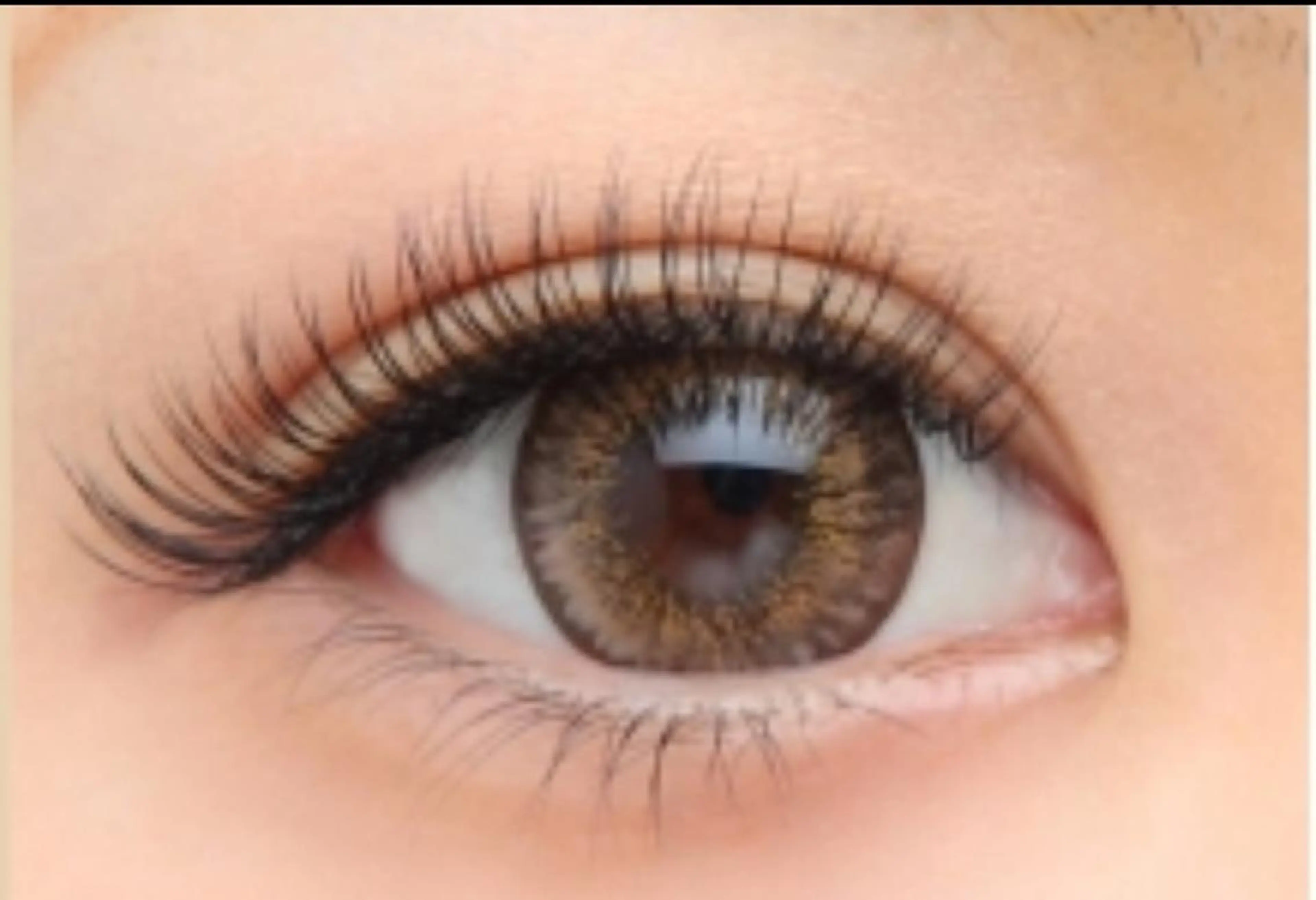 高級セーブル60本　アイシャンプー無料の写真