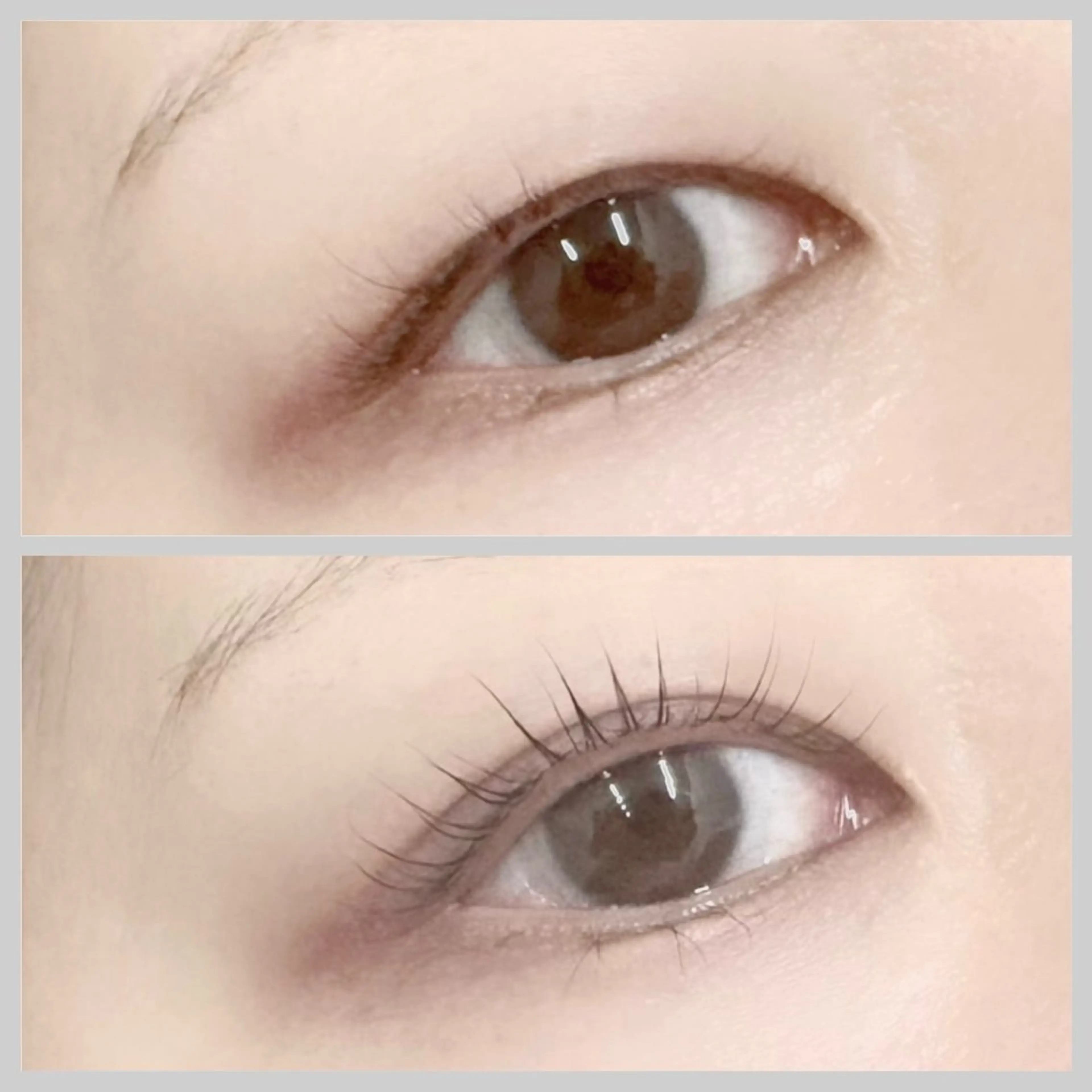 マツエク・マツパ edge eye🪽の眉毛・アイブロウイメージ