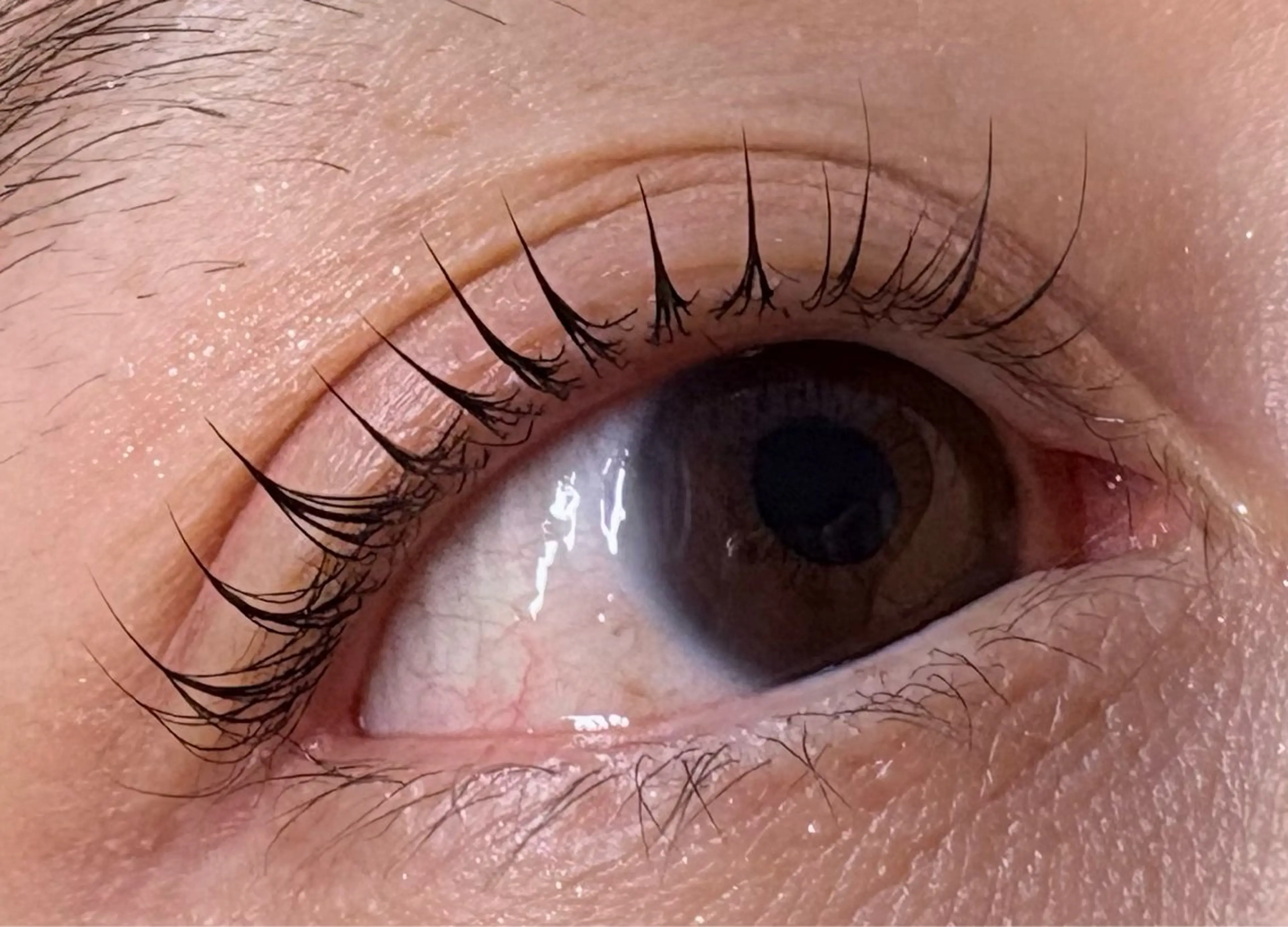 マツエク・マツパ トータルビューティー サロン・Ｎの眉毛・アイブロウイメージ