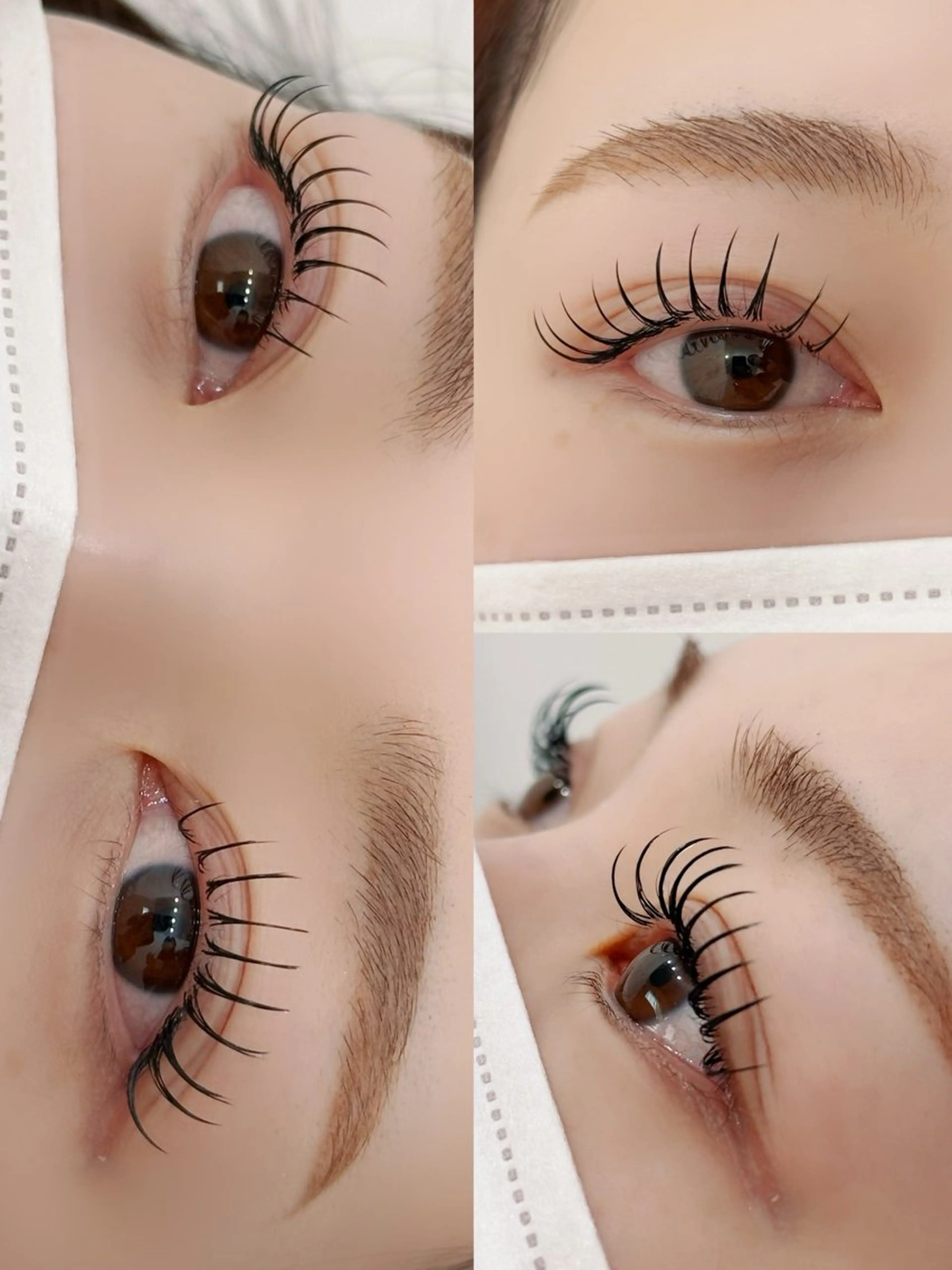 アンドヘルシー【80本】¥5250🎀期間限定✨の写真