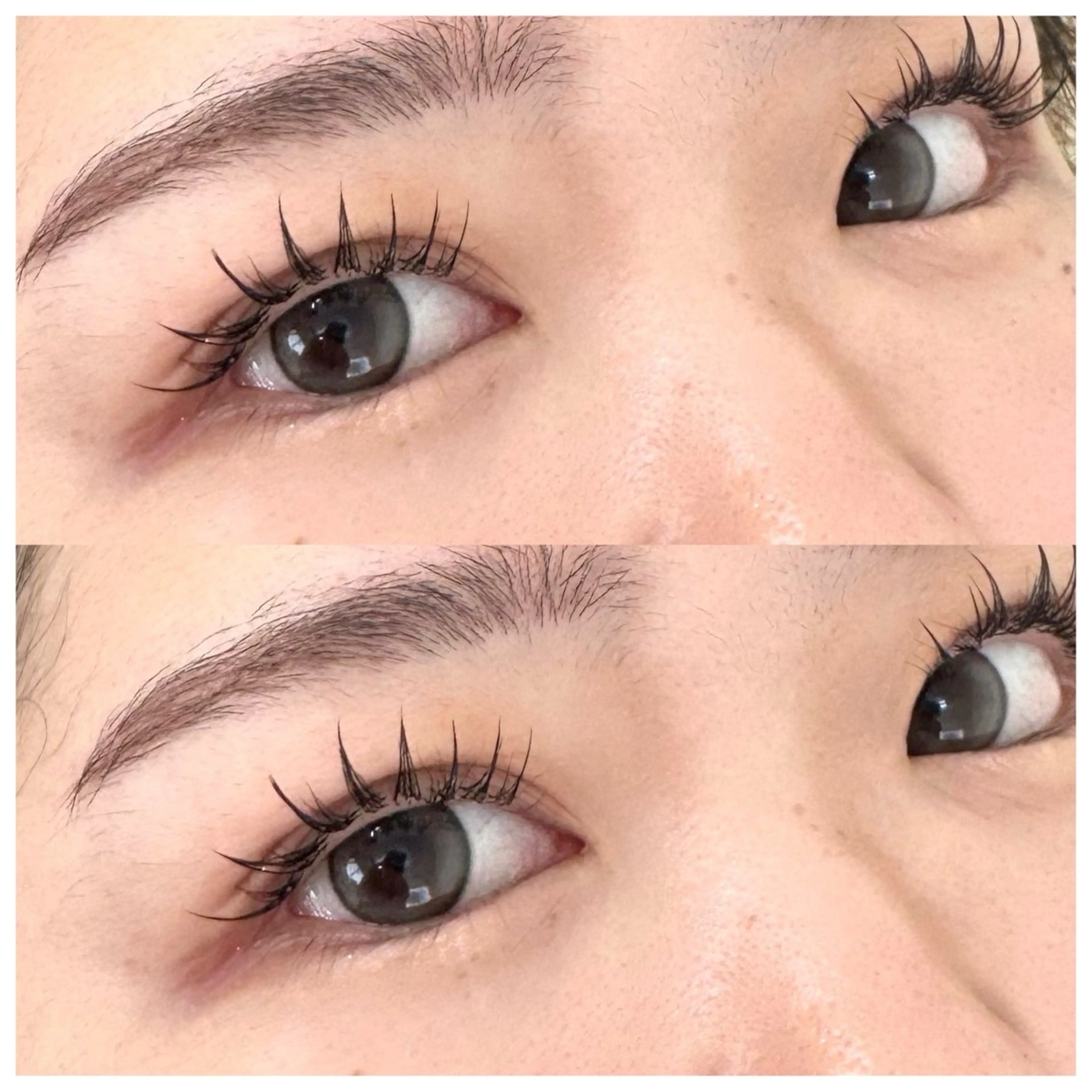 ご新規様限定🍬アンドヘルシー100本🍬の写真