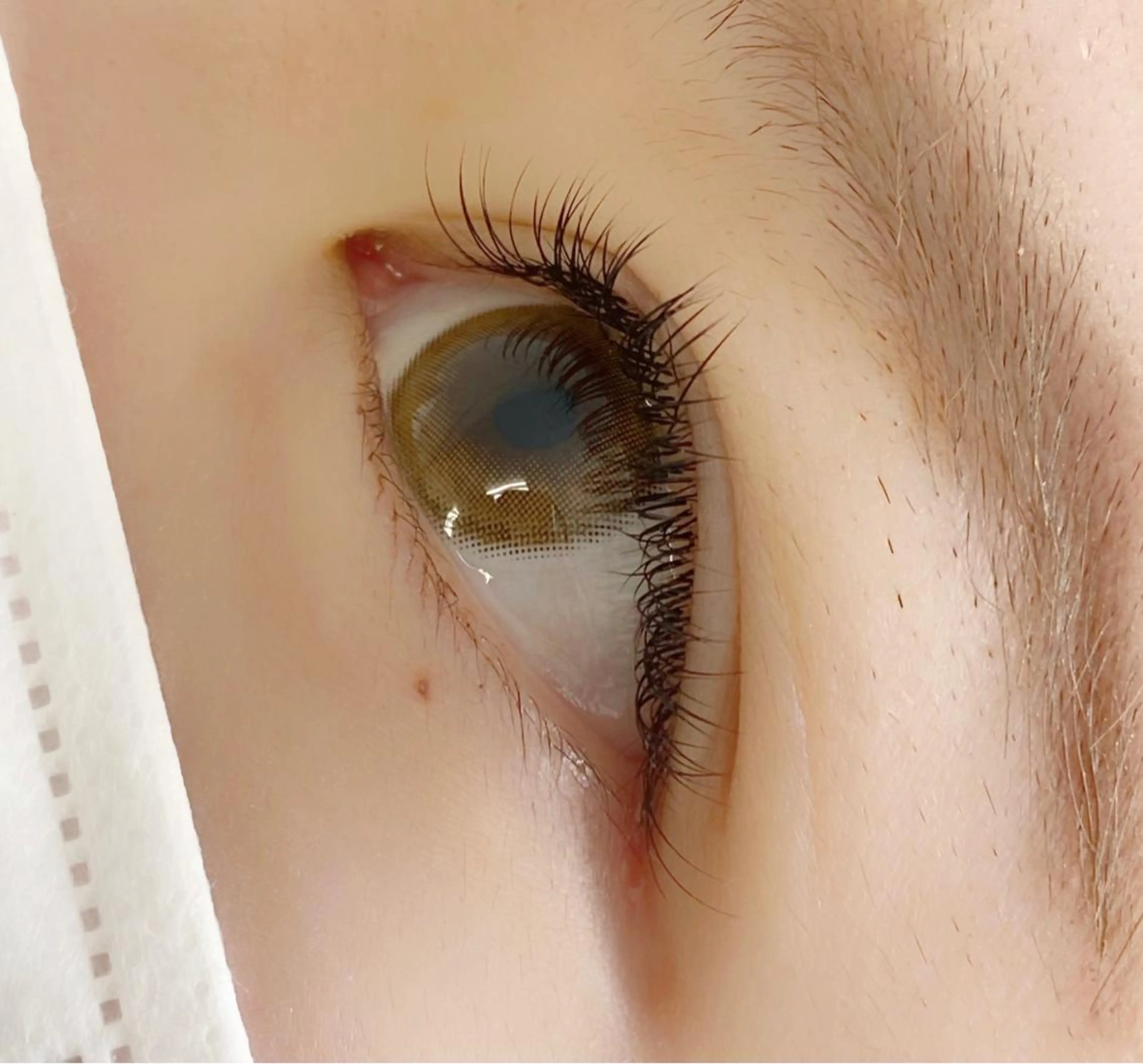 マツエク・マツパ eam（イーム）所属・katano harunaのマツエク・マツパデザイン