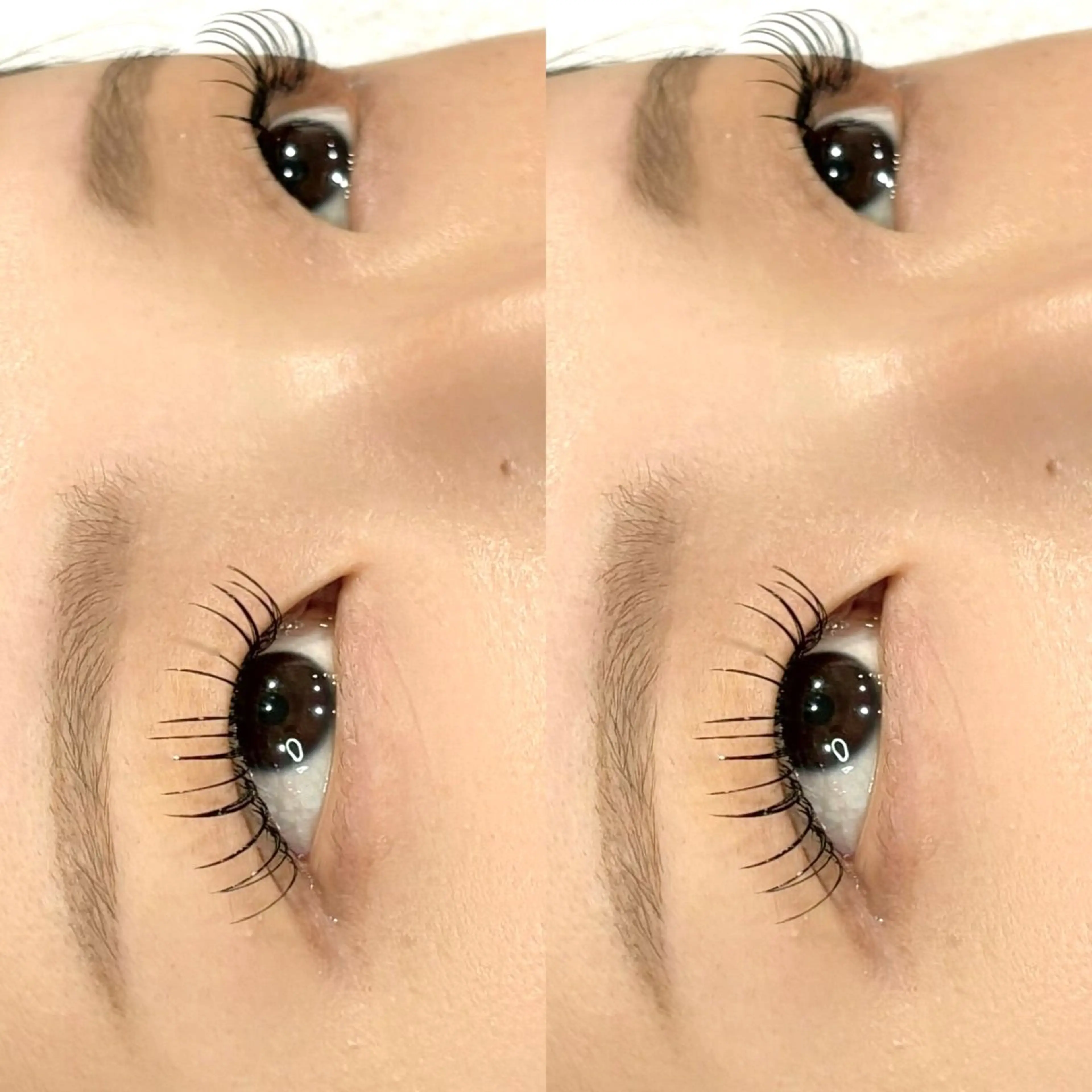 マツエク・マツパ フラットラッシュ まつ毛エクステ専門店 MUSE 東金店所属・田井 希乃花のマツエク・マツパデザイン