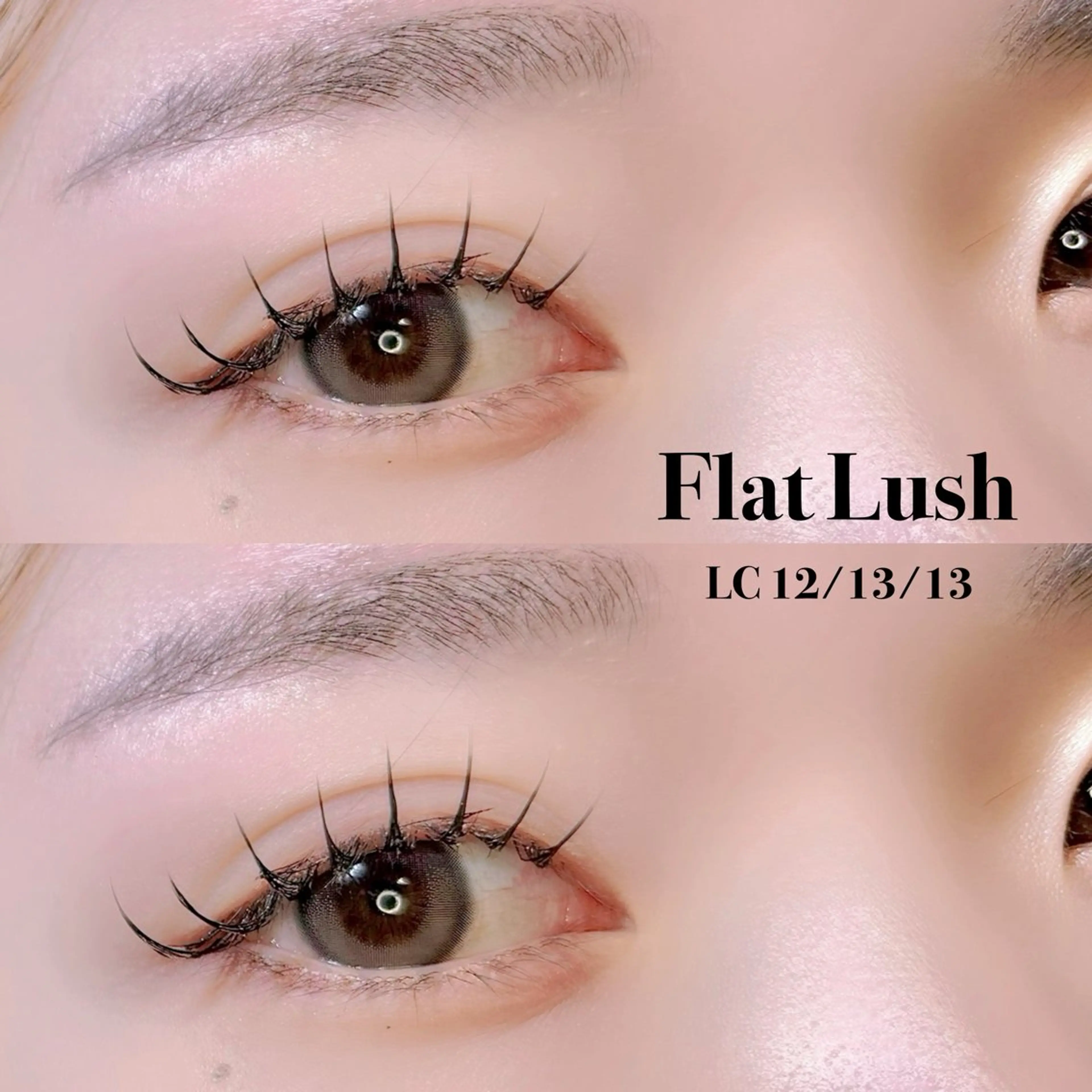 ãããšã¯ã»ããã ãããšã¯ ðŽðšð¶ â€ïžã®ãããšã¯ã»ããããã¶ã€ã³