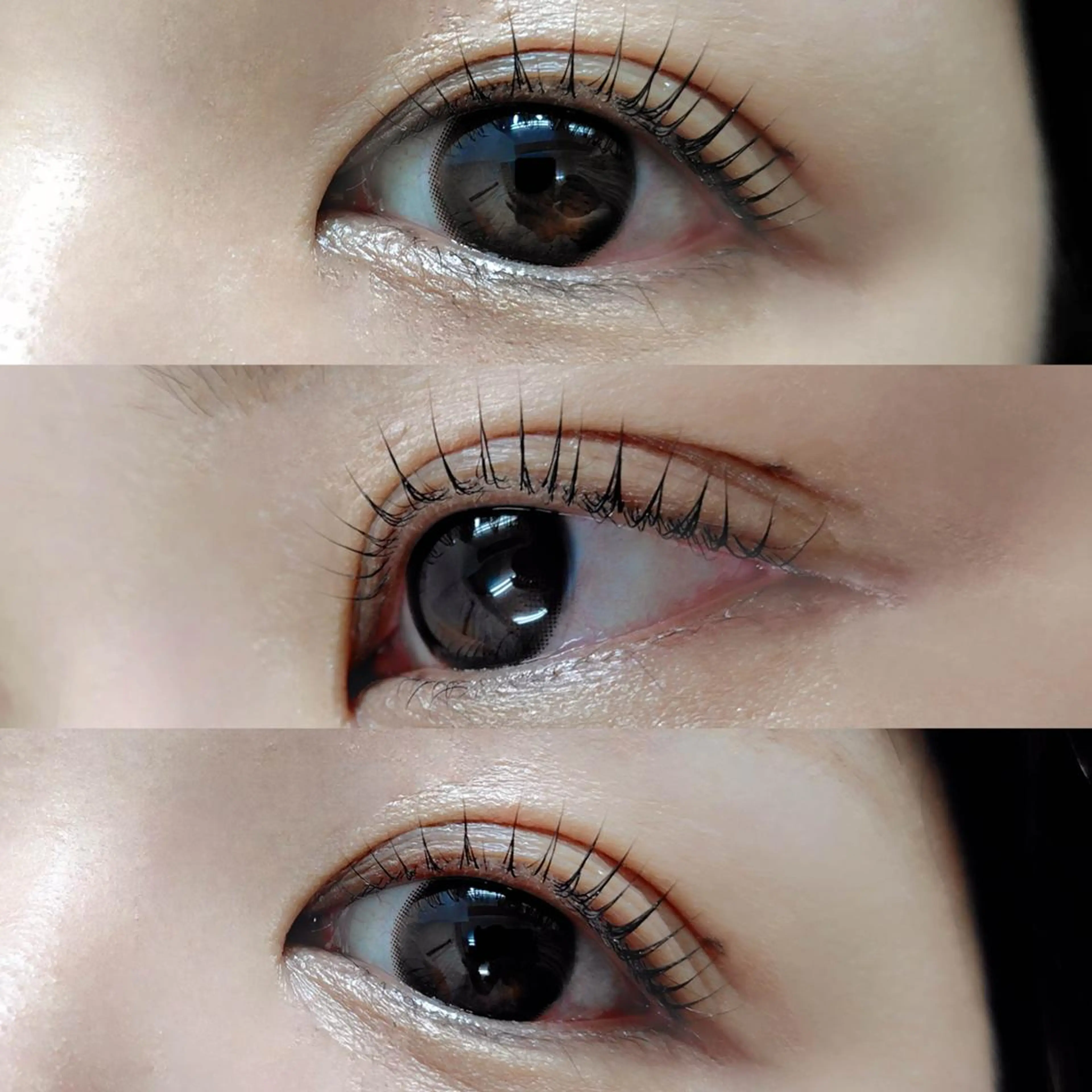 マツエク・マツパ Cカール まつげパーマ専門店 シャルナ 上野店のマツエク・マツパデザイン