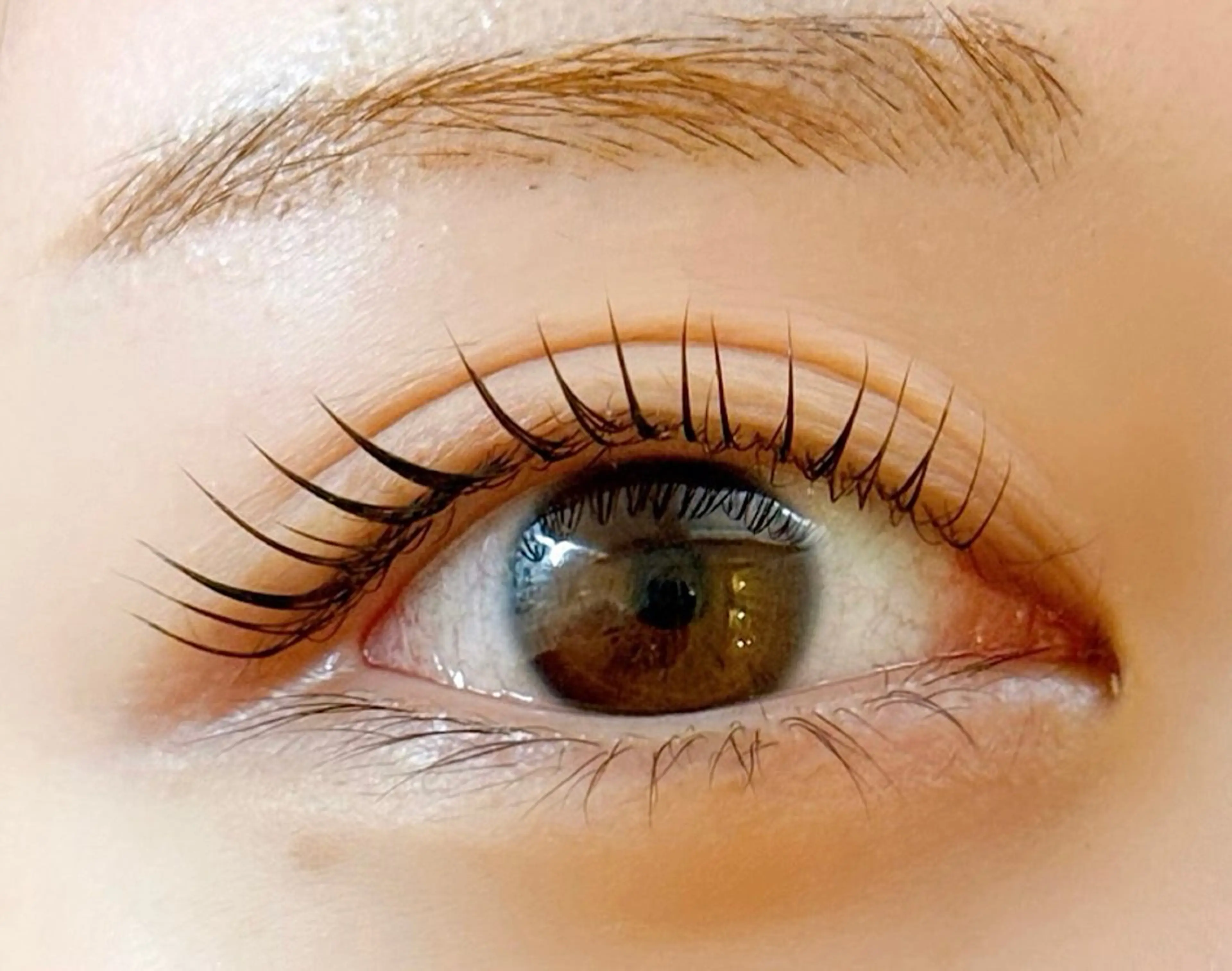 🌷[新規/エクステオフ無し] パリジェンヌラッシュリフトの写真