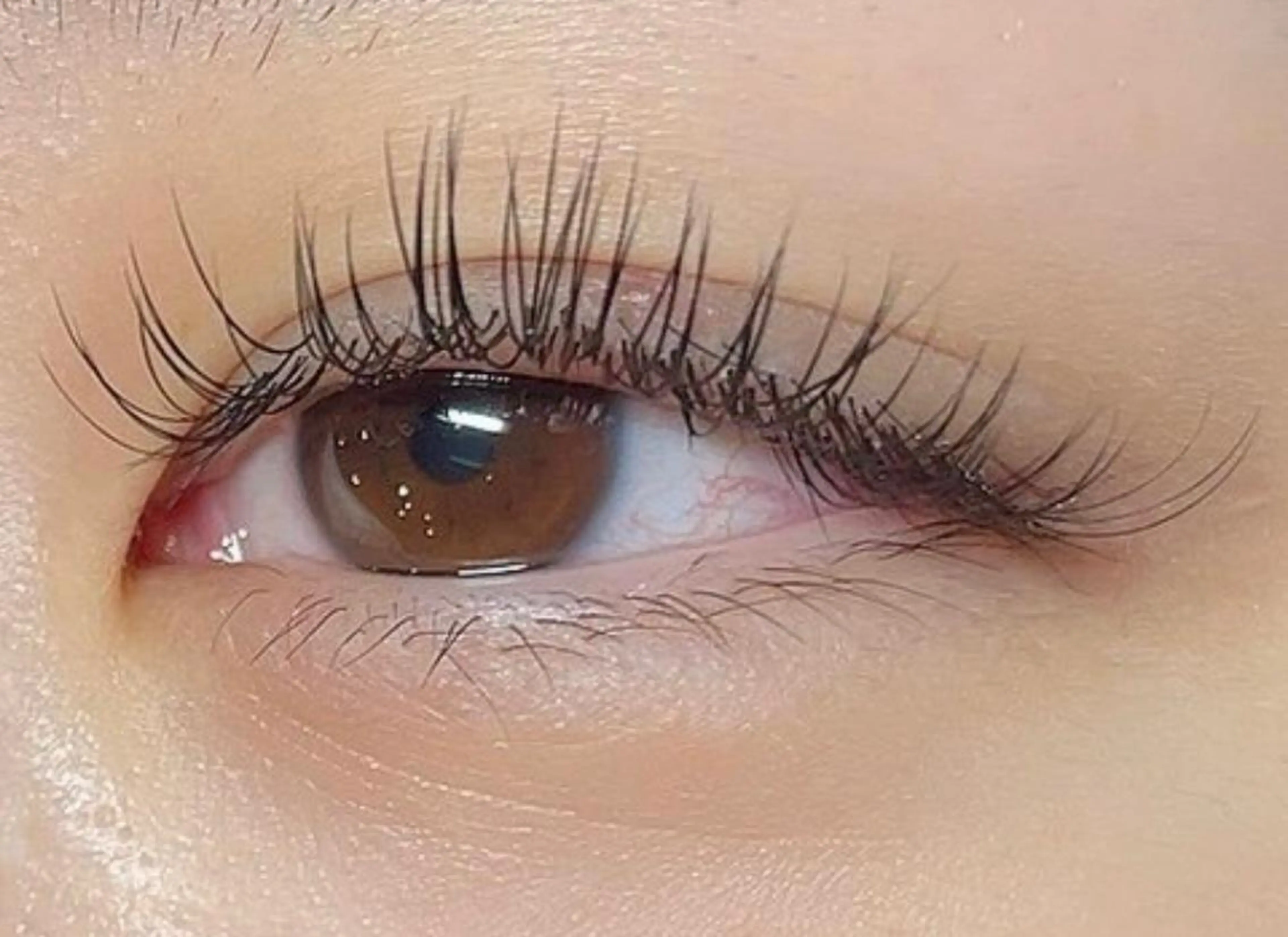 マツエク・マツパ iu.(イユドット)所属・🤍二条城北iu. /IKUHOのマツエク・マツパデザイン