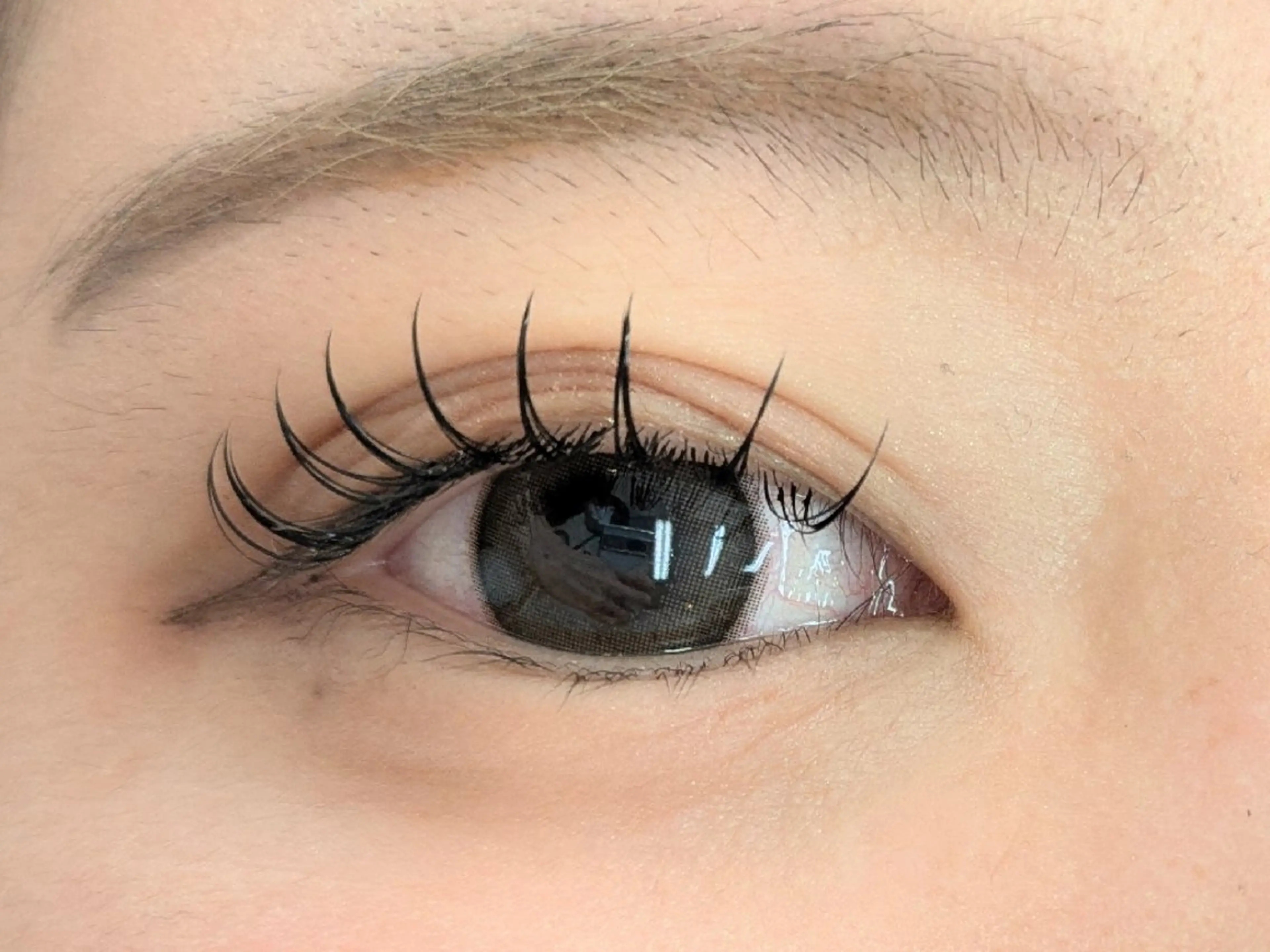 フラットラッシュ60本までの写真