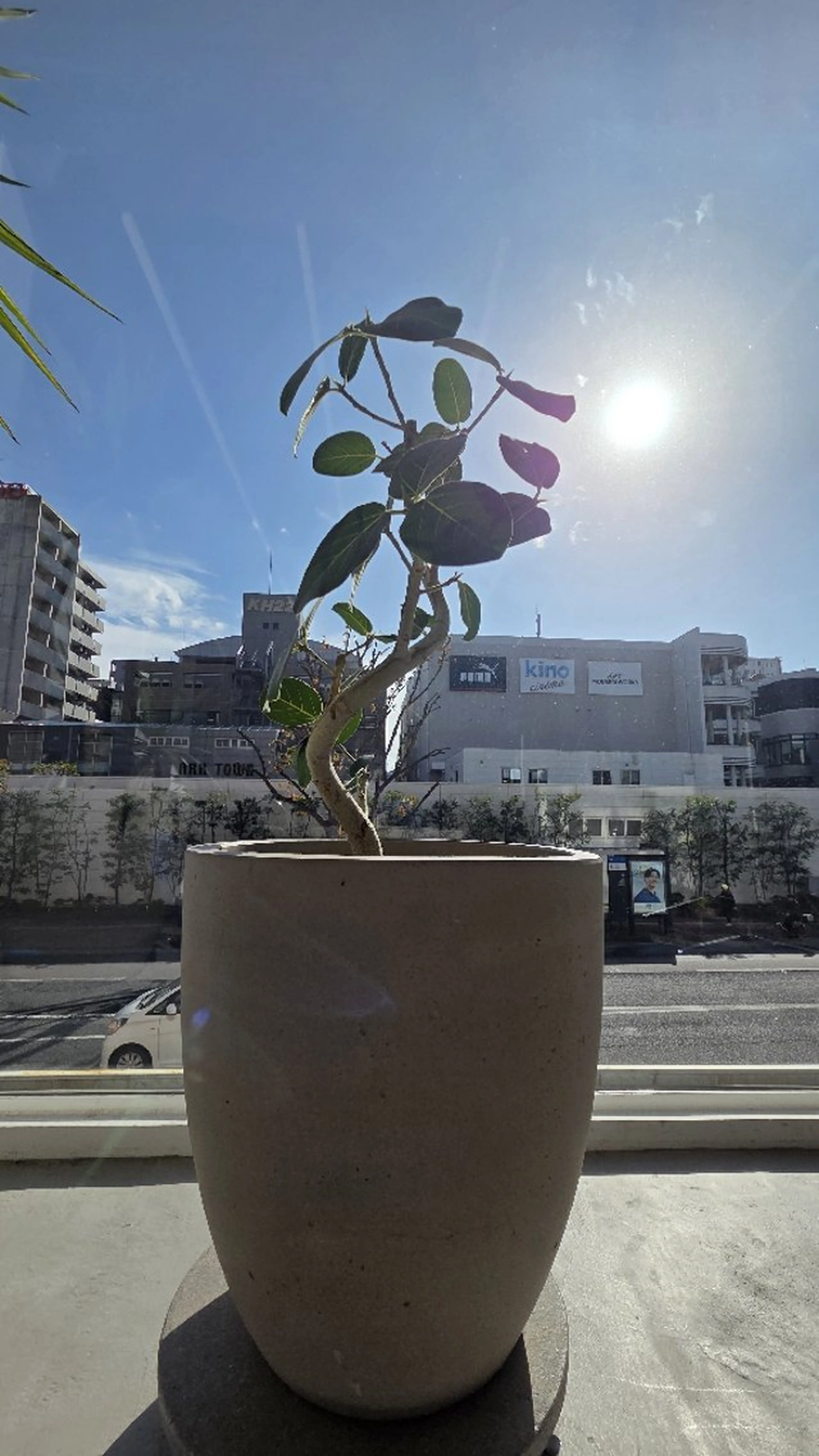 ill 天神大名所属・YOKUTO 前下りボブ/レイヤーのヘアスタイル