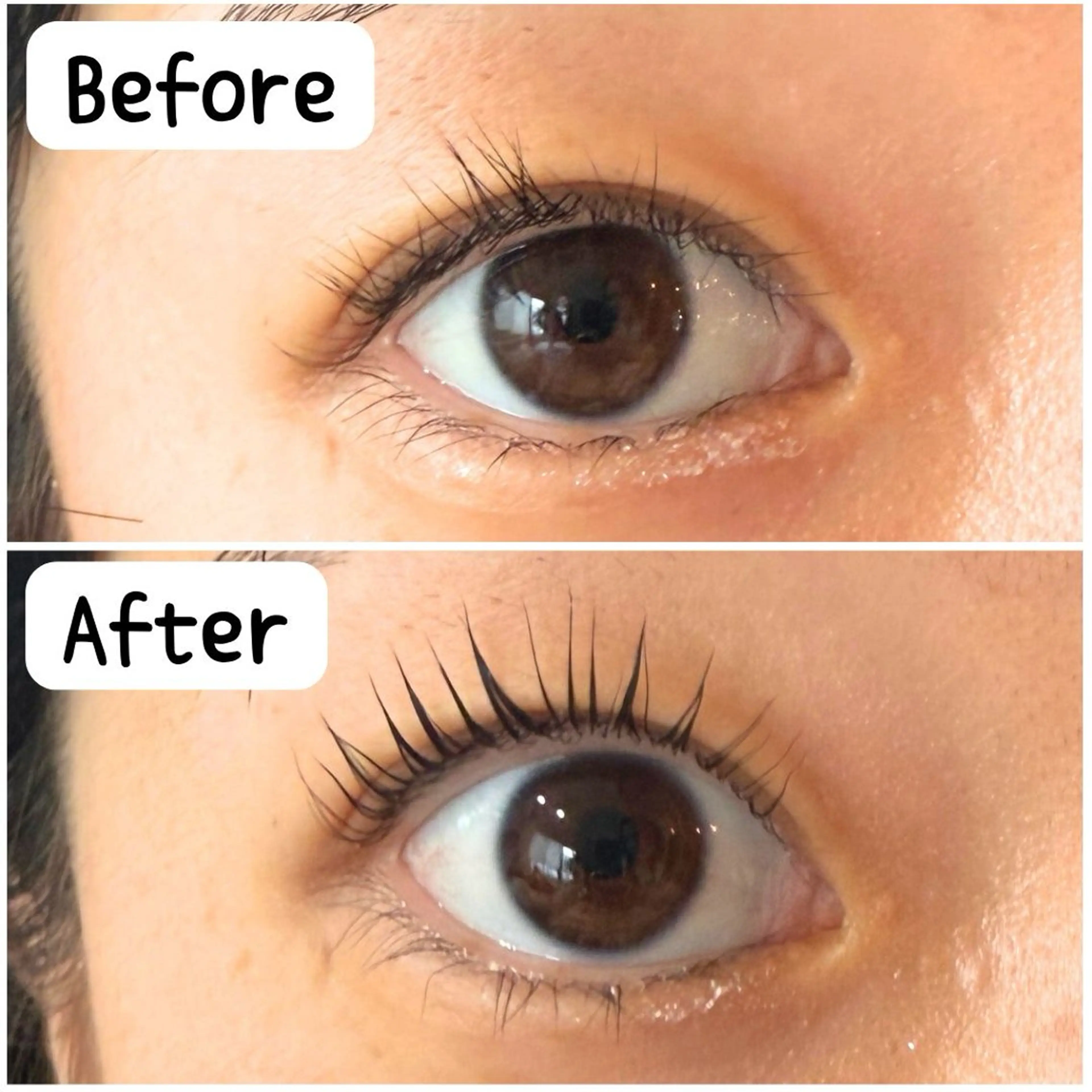 【パリジェンヌラッシュリフト・上下】コーティング付き※補足説明ご確認お願いしますの写真