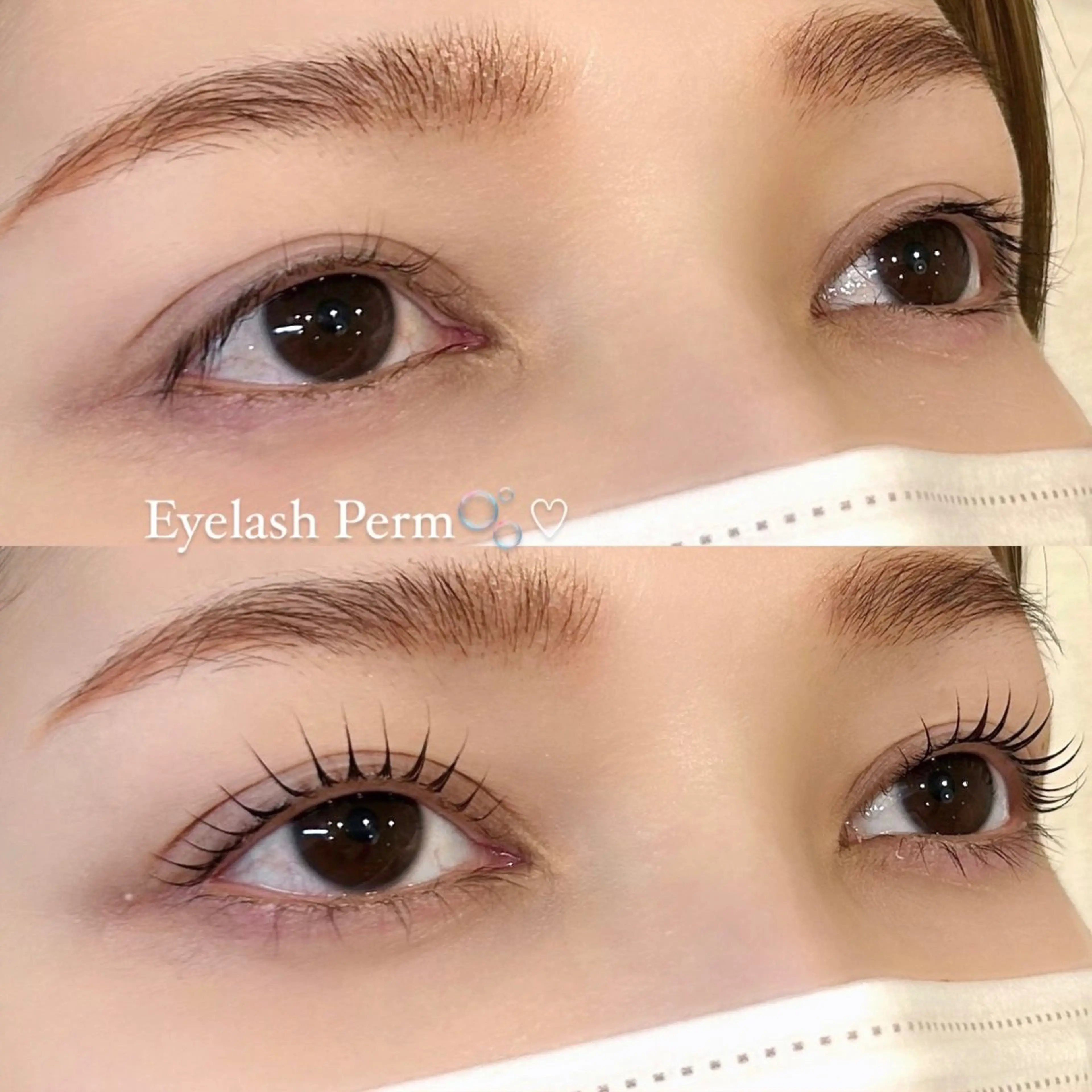 【平日限定クーポン🎀】ラッシュリフト・まつ毛パーマ🫧の写真