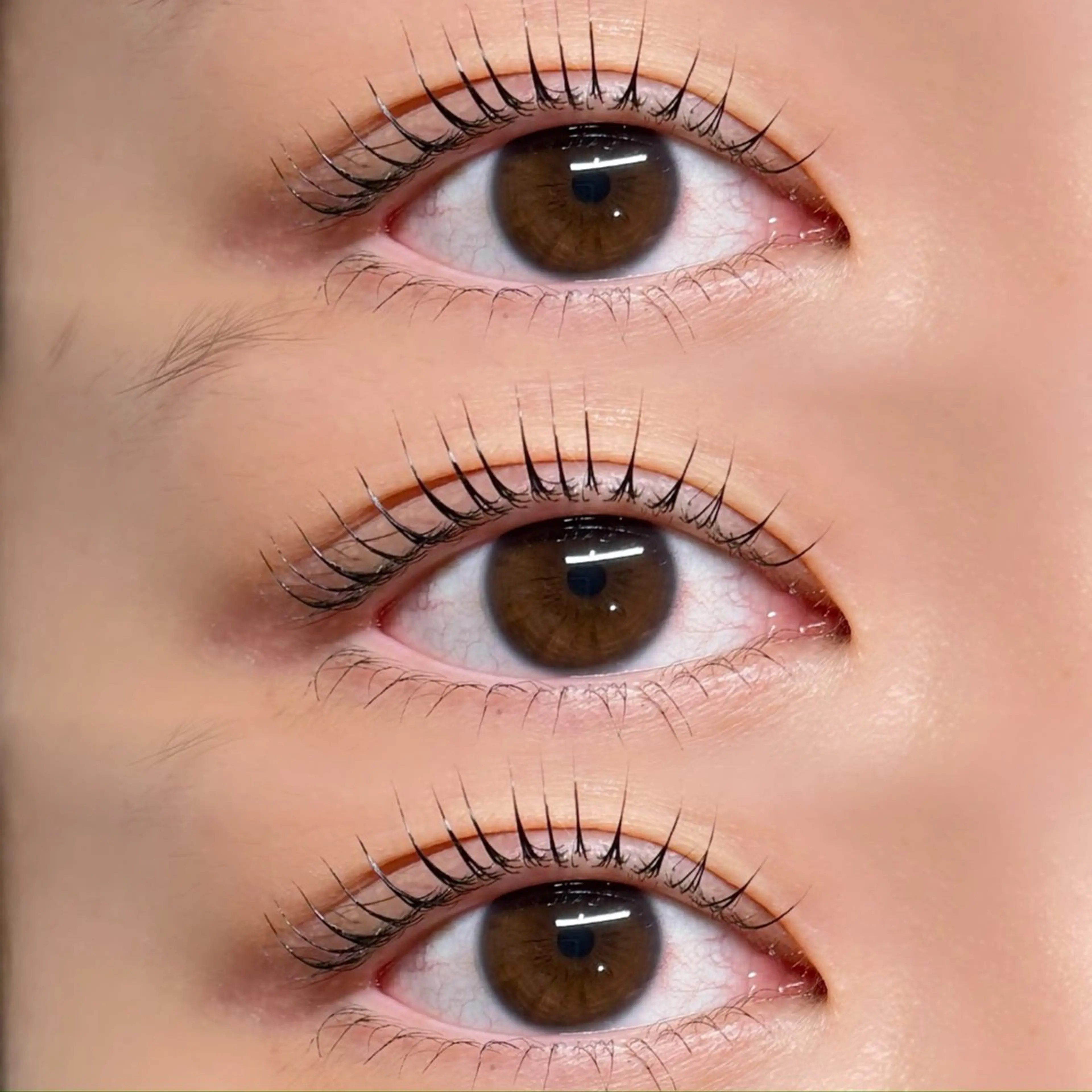 マツエク・マツパ マツパ Froom🪷 まりものマツエク・マツパデザイン