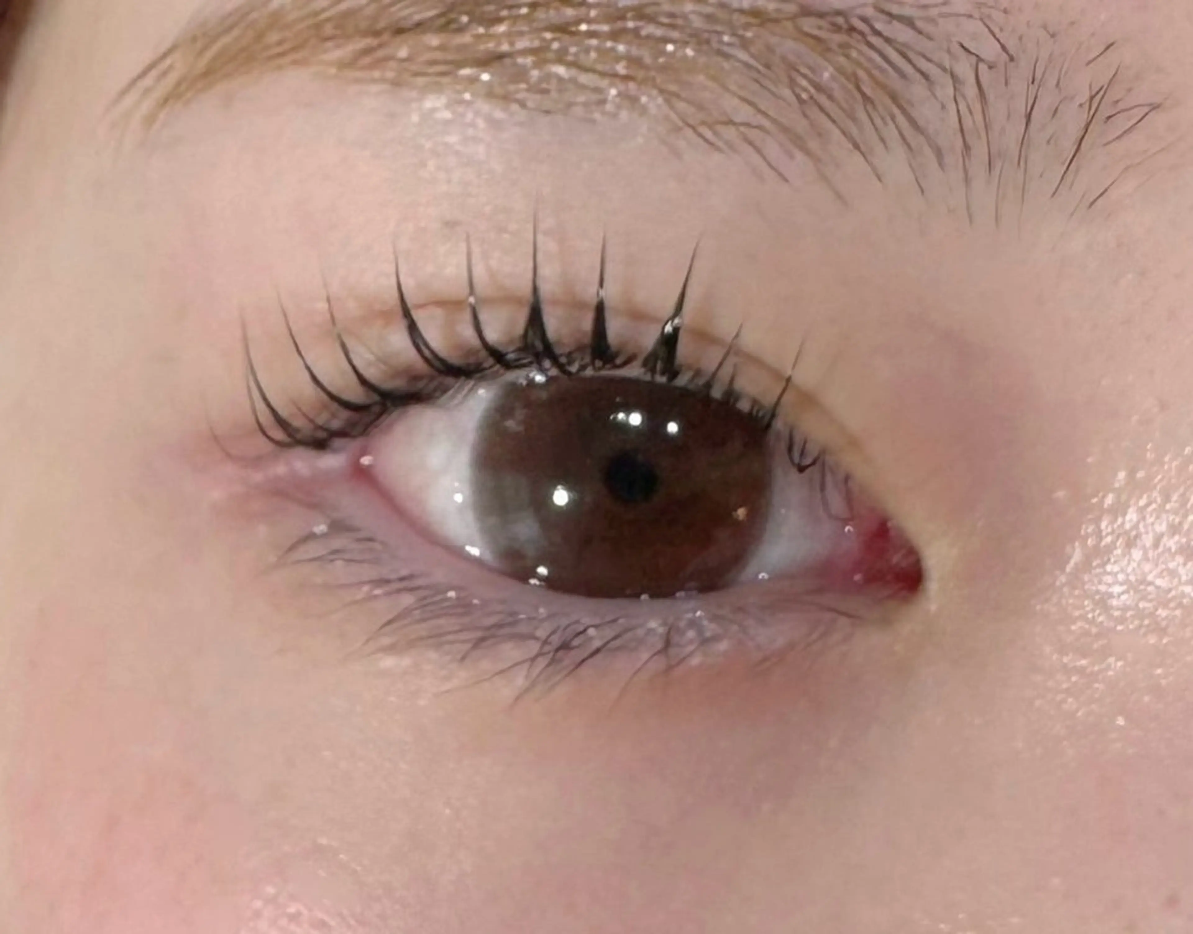 マツエク・マツパ pam  eyelash & brow所属・pam 櫻場のマツエク・マツパデザイン