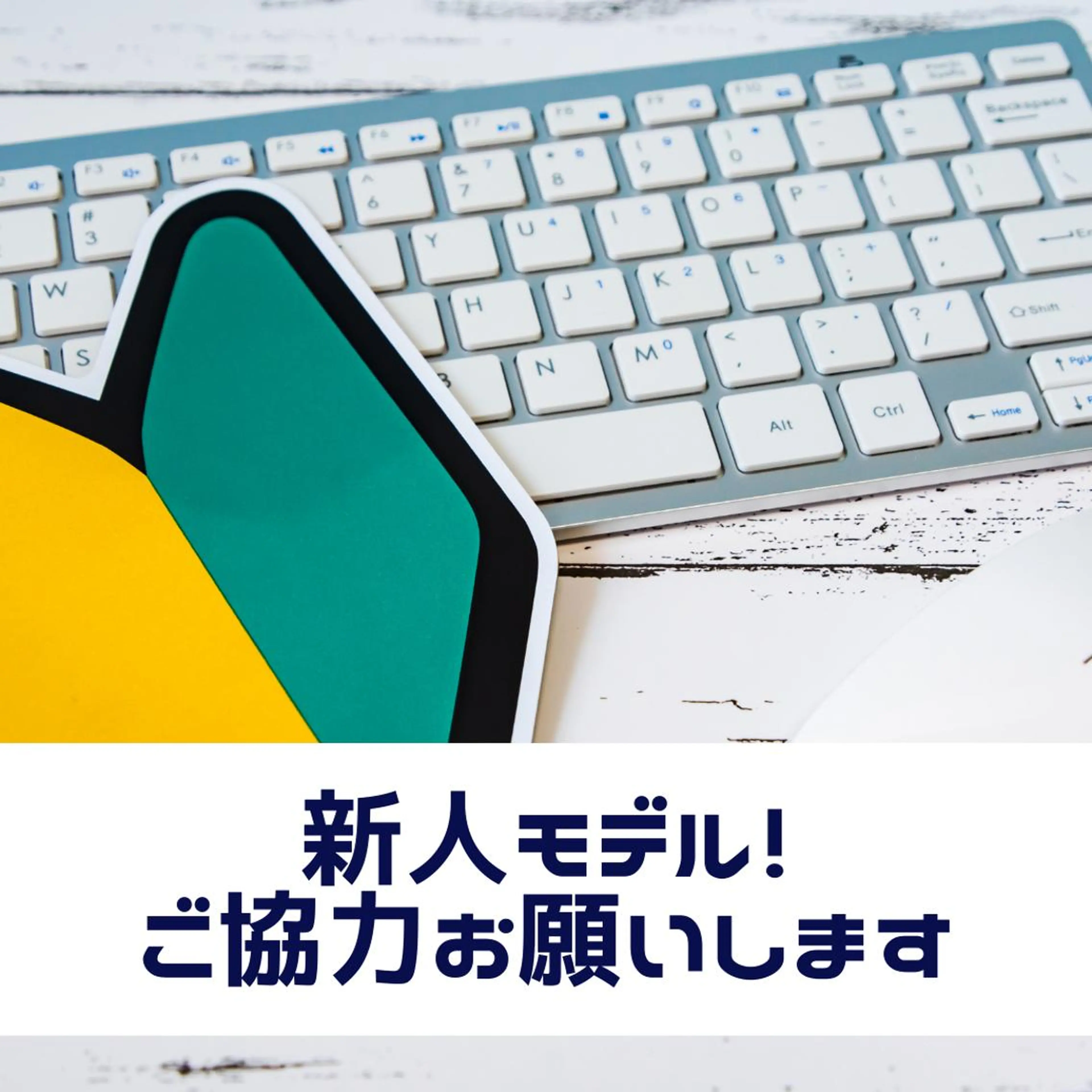 ❤️モデル❤️シングル100本の写真