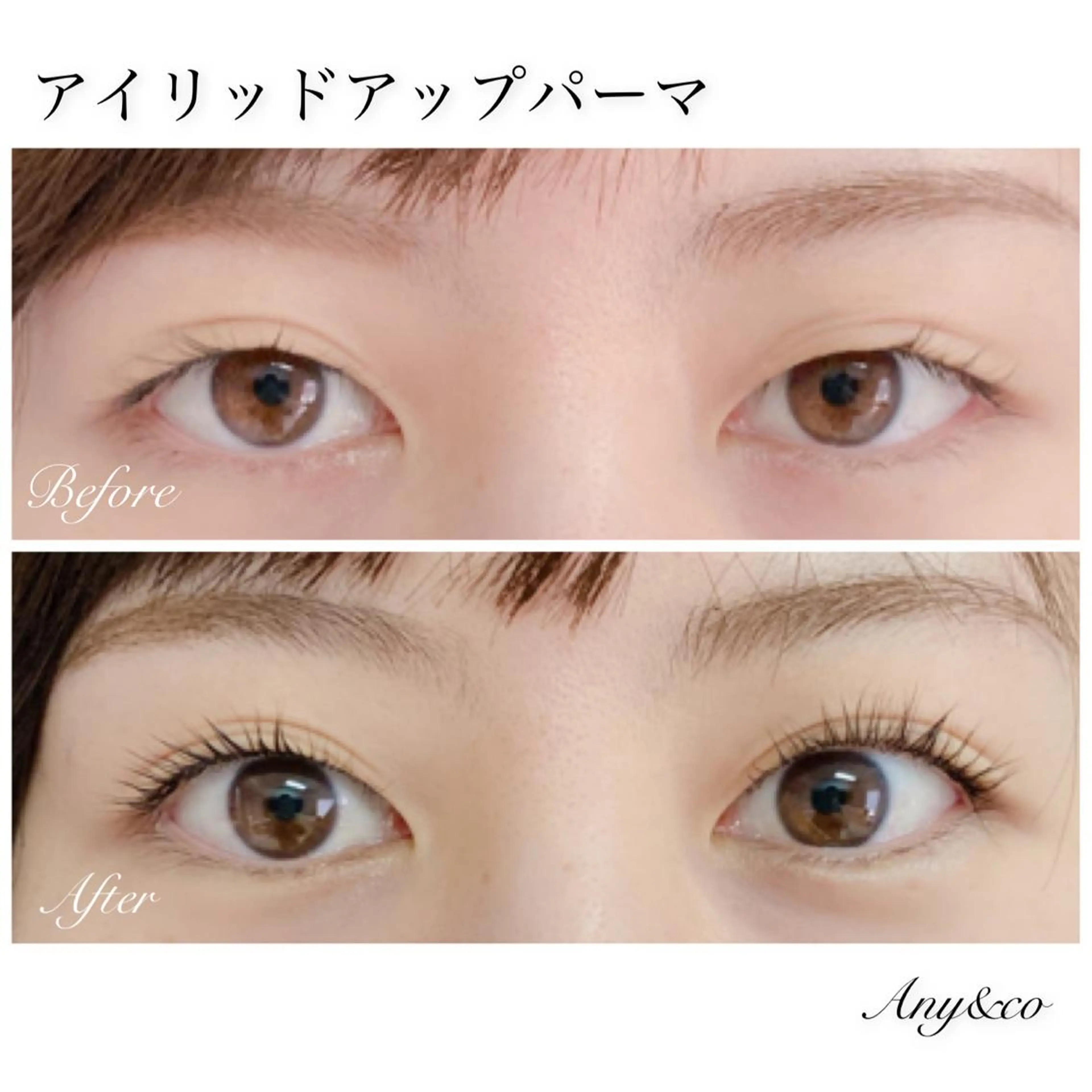 🖤特別価格🖤まつ毛トリートメント&美容液コーティング付アイリッドアップ&ダウンパーマ🌷の写真