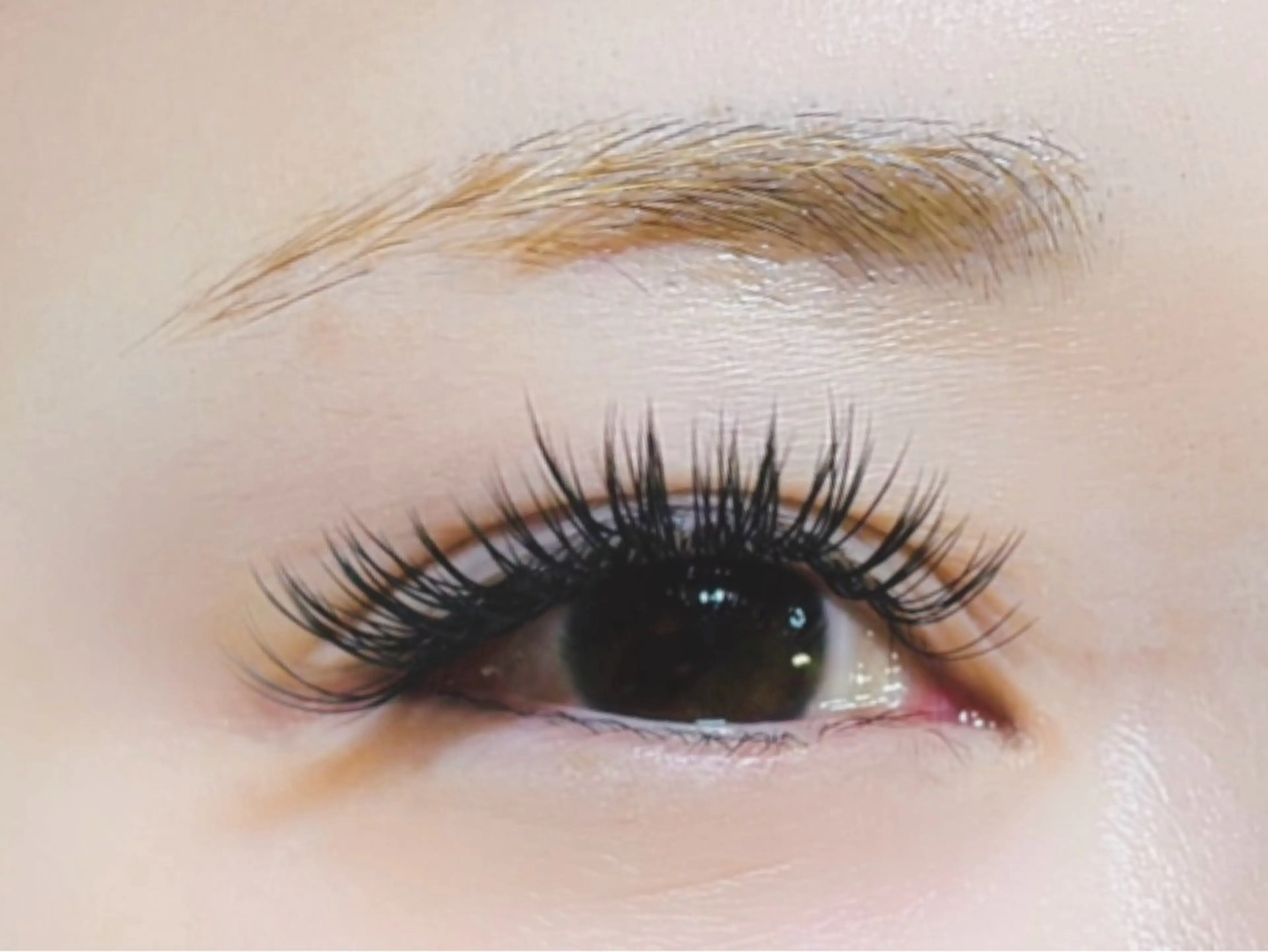 マツエク・マツパ 付け放題 バインドロック 束感まつ毛 フラットラッシュ パリジェンヌラッシュリフト マツエク オーロラ所属・AURORA RINAのマツエク・マツパデザイン