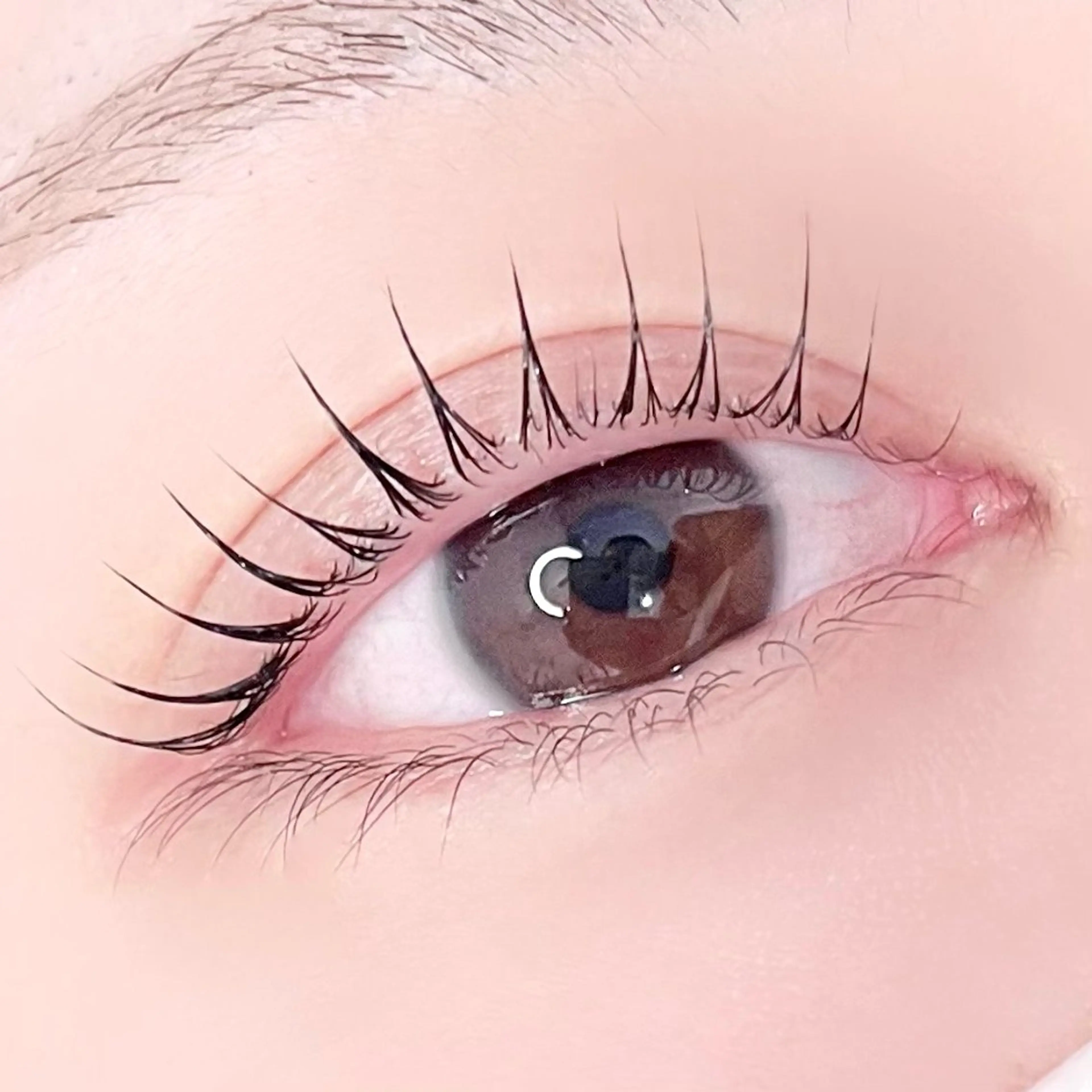 ︎【初回限定】パリジェンヌ or まつ毛パーマ 🤍アミノ酸TR✨️アイシャンプー✨️コーティング美容液仕上げ🤍の写真