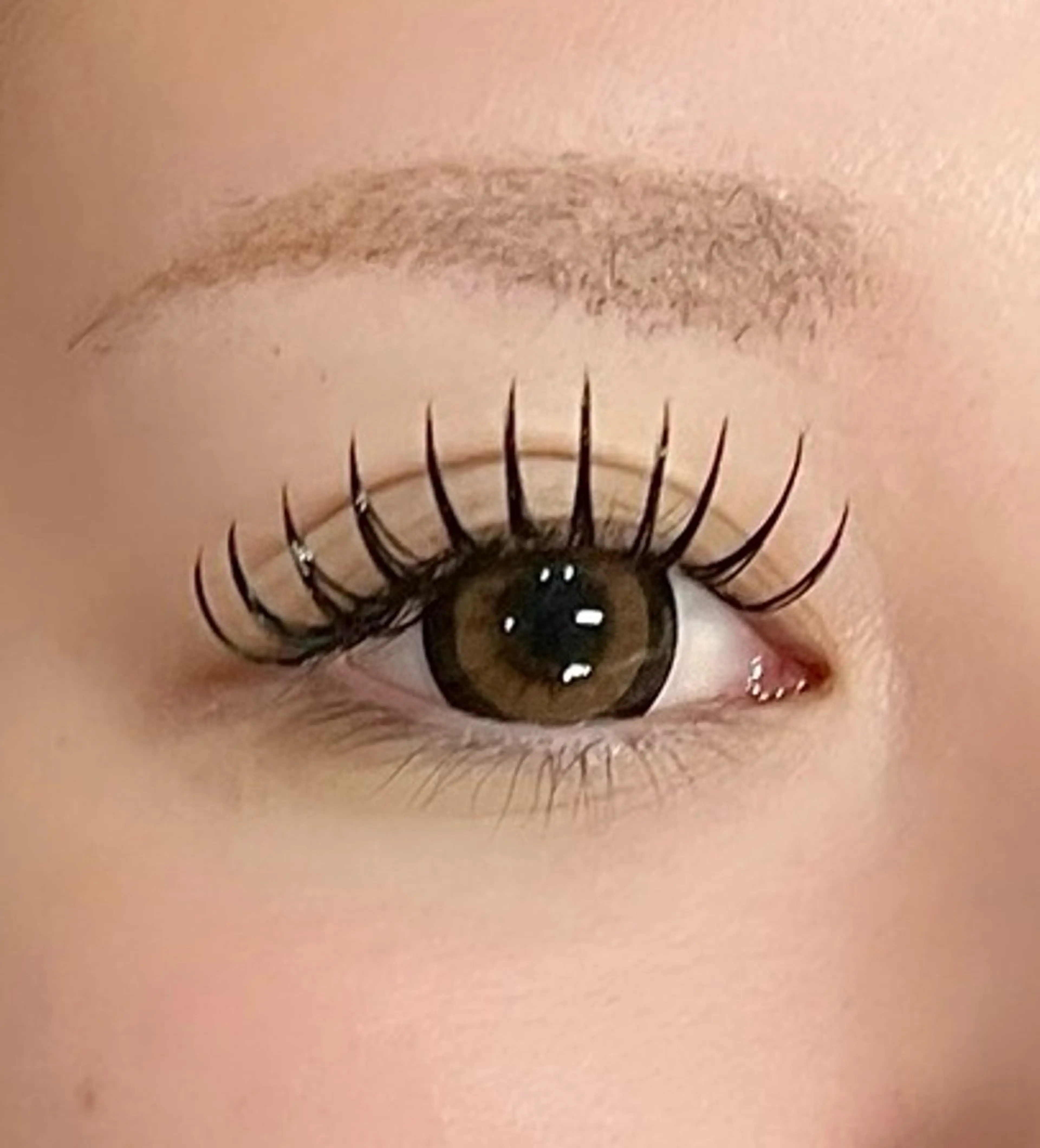 【10/10まで⚠️】バインドロック120～140束の写真