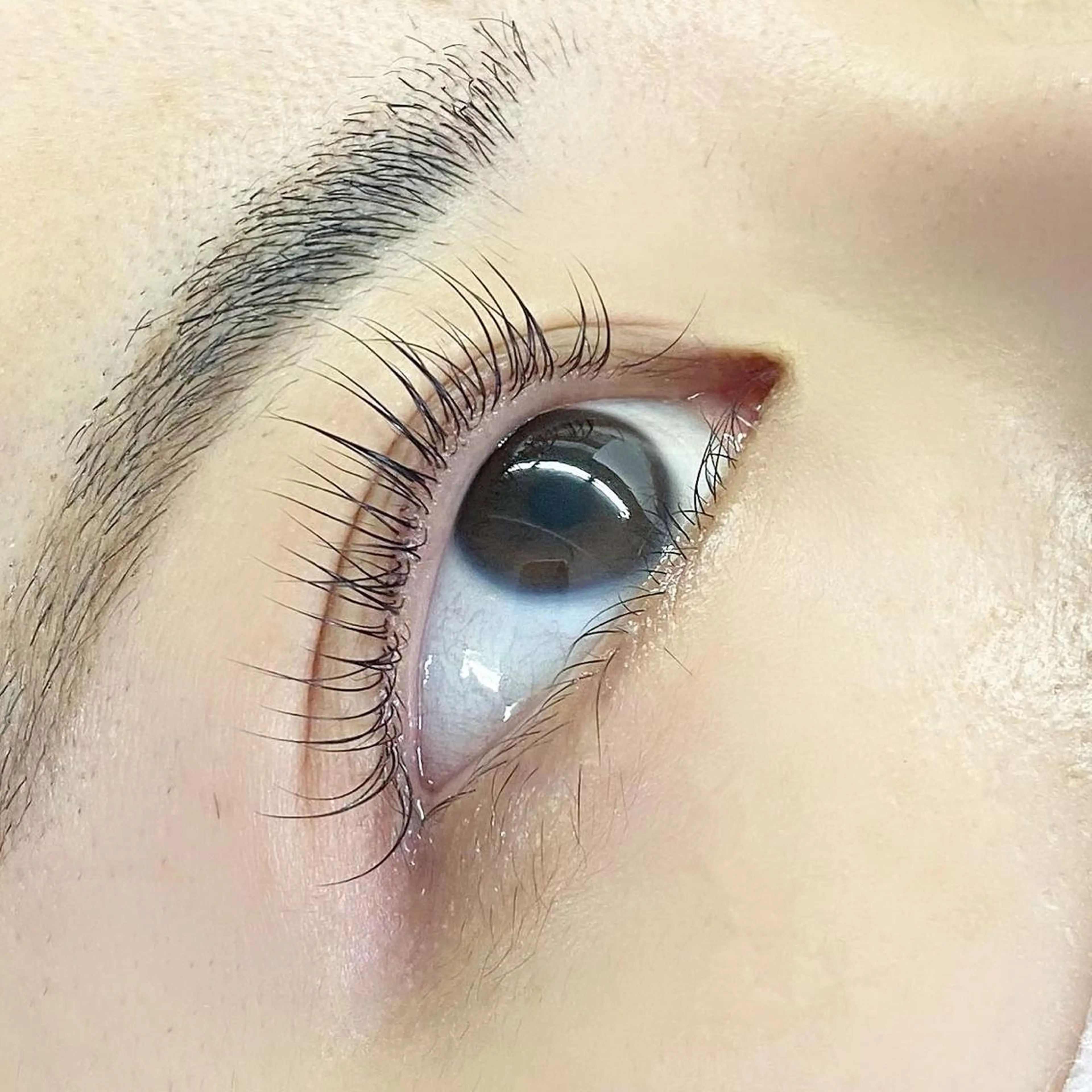 マツエク・マツパ パリジェンヌラッシュリフト 🪽yoshino miku 🩵のマツエク・マツパデザイン