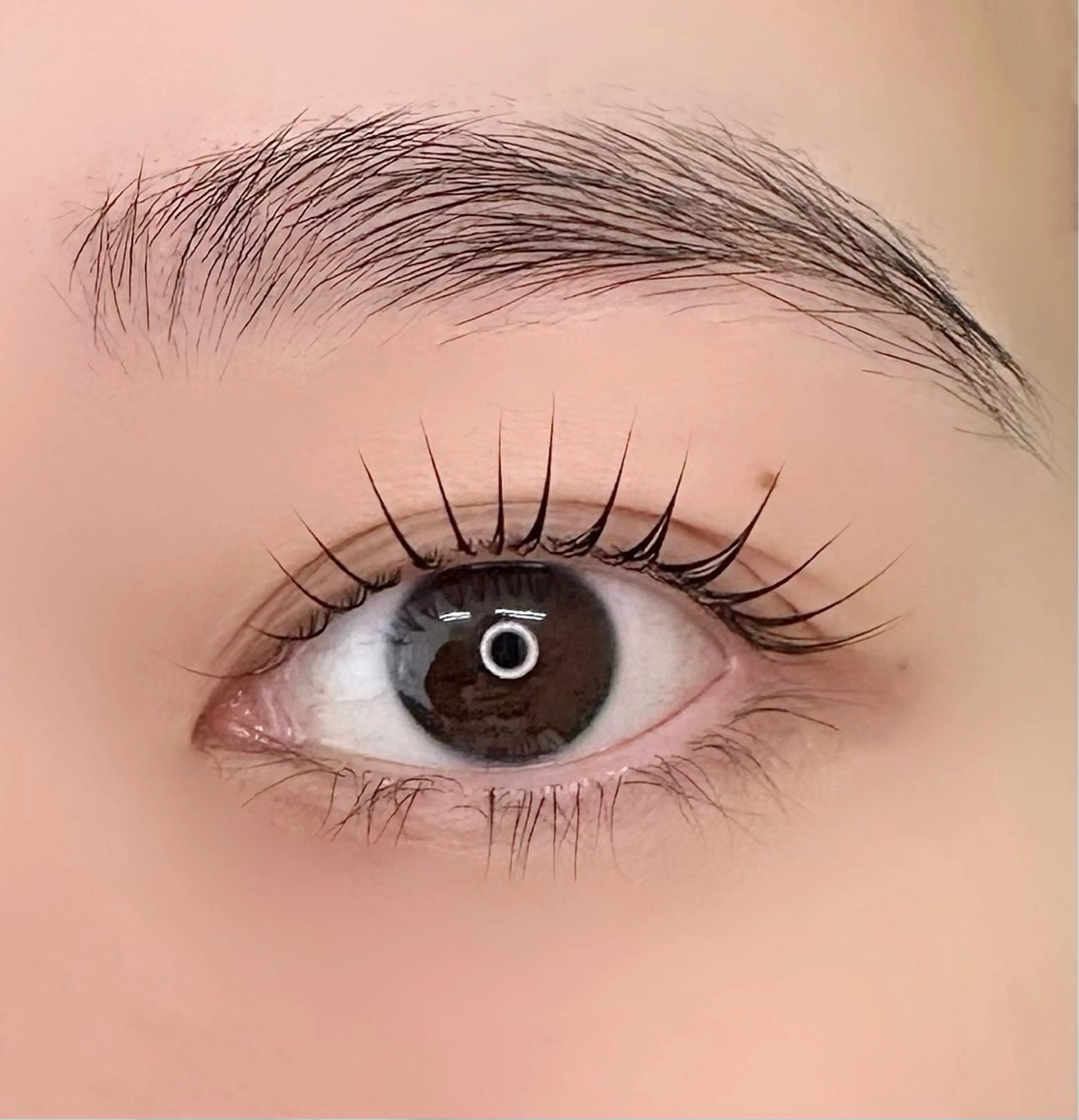 マツエク・マツパ 齋藤 千尋のマツエク・マツパデザイン