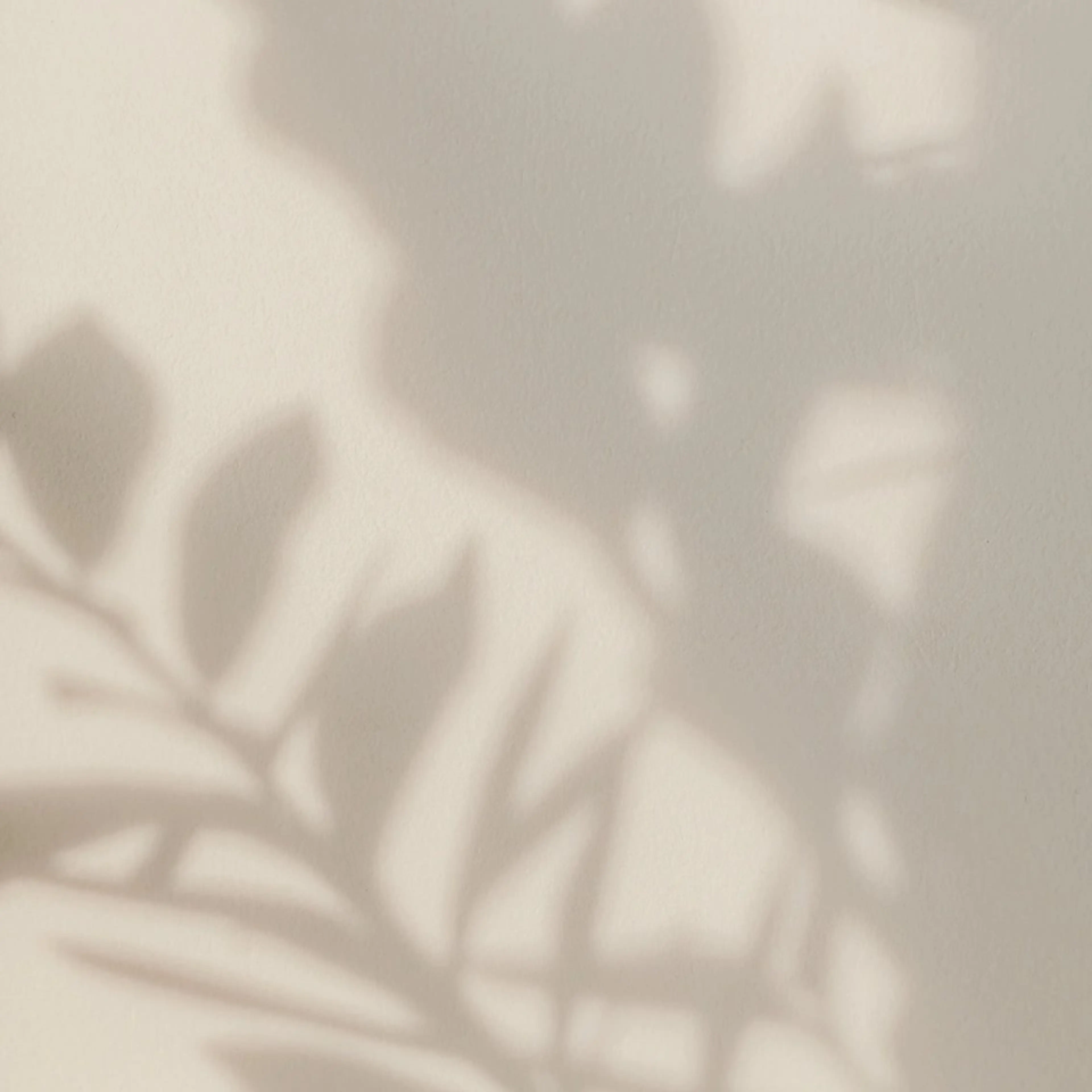 アイブロウ 眉毛とまつげ専門店LEPIAおもろまち店所属・伊波 詩織のマツエク・マツパデザイン