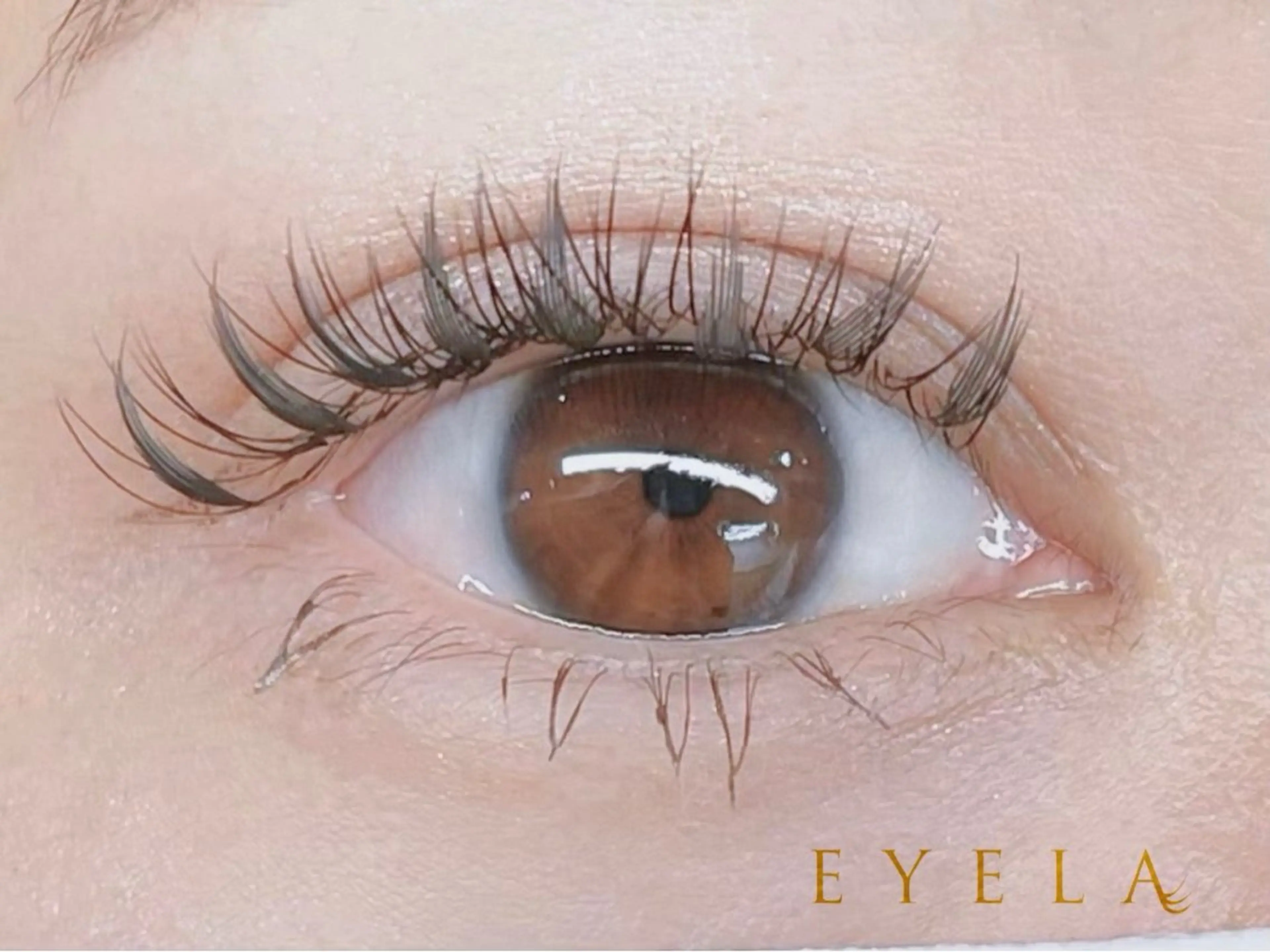 マツエク・マツパ EYELA熊本 YUIのマツエク・マツパデザイン