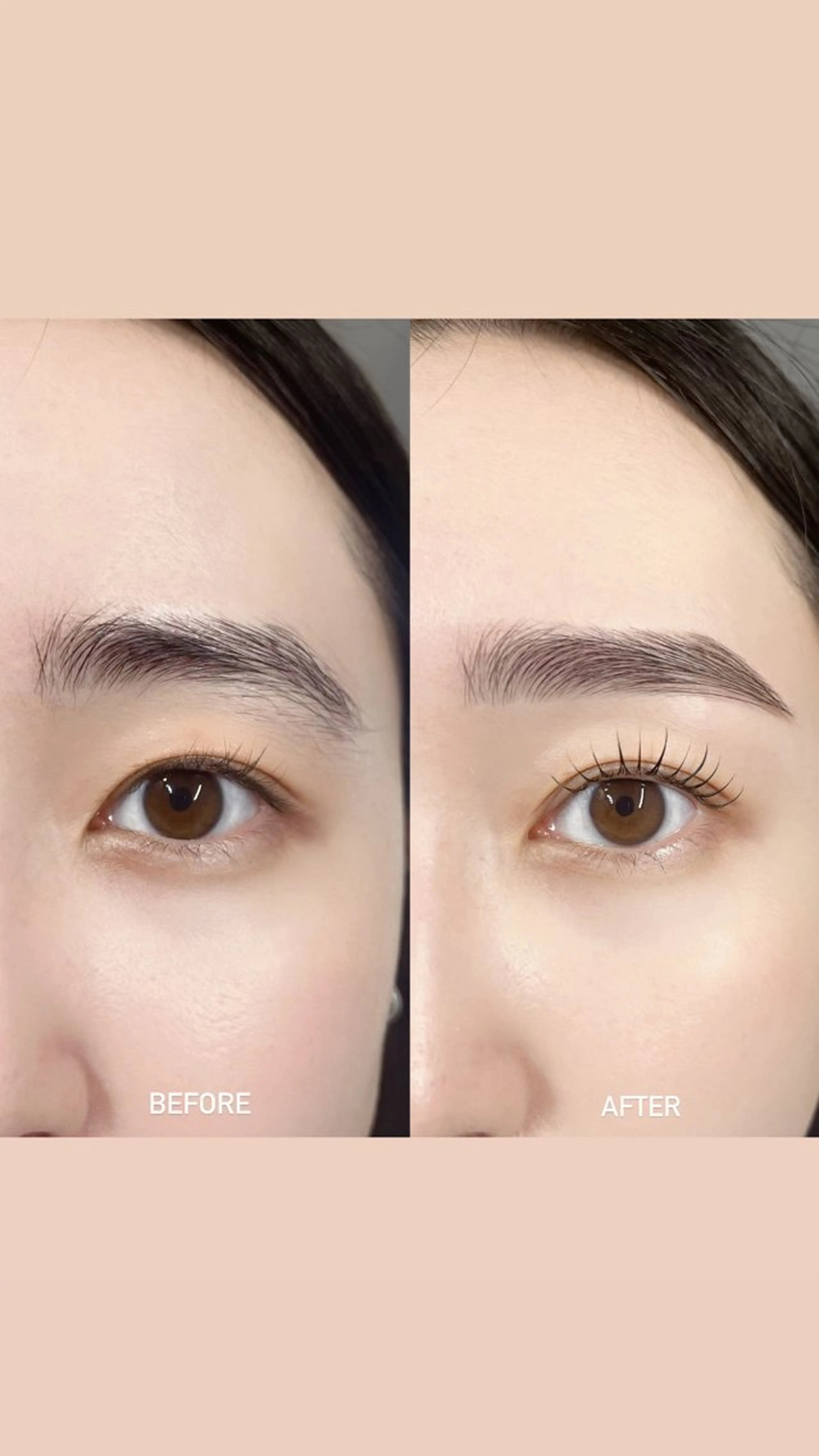 アイブロウスタイリング（間引きあり） & まつ毛パーマ♡の写真