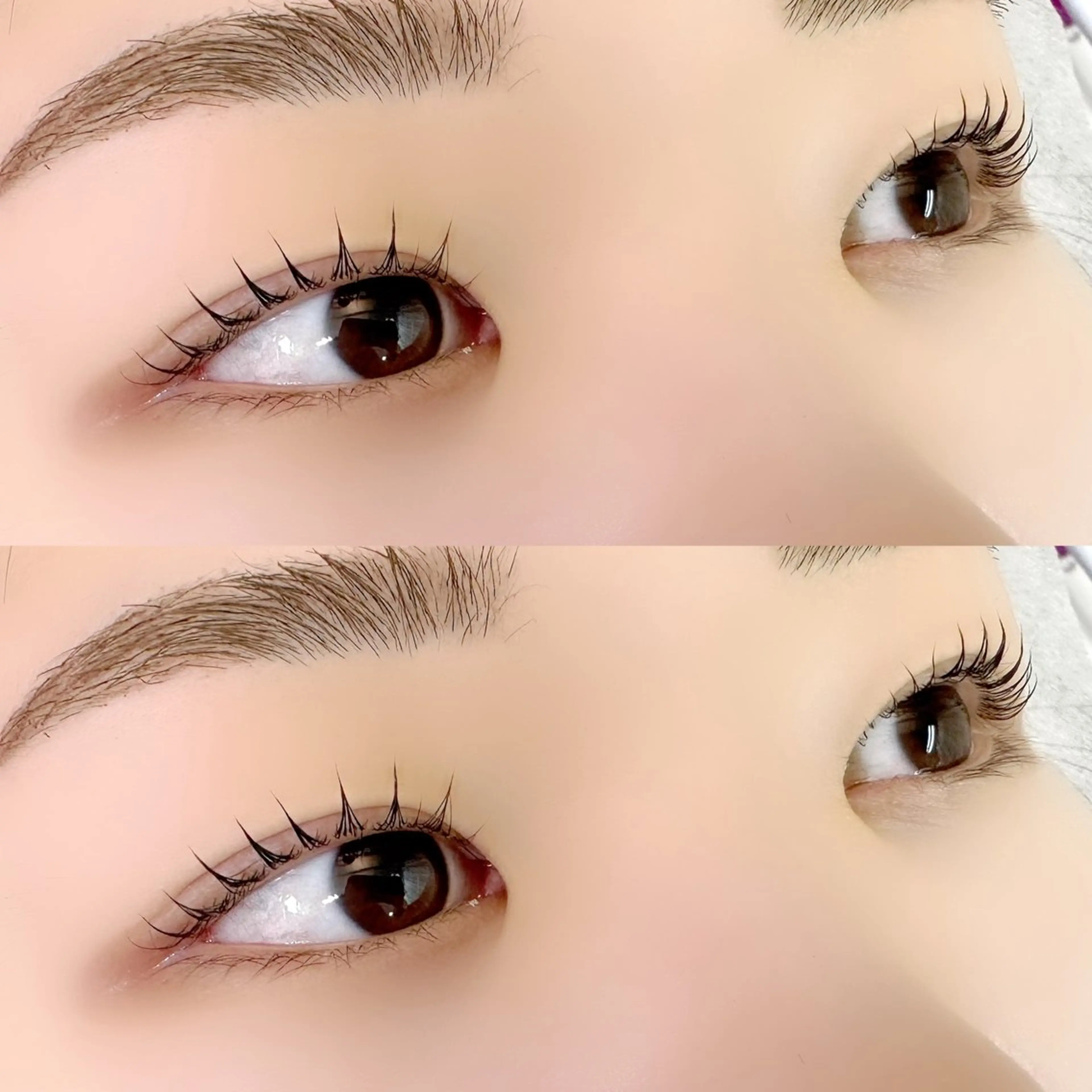 ご新規様限定！セット価格(美眉スタイリング×まつげパーマ)の写真