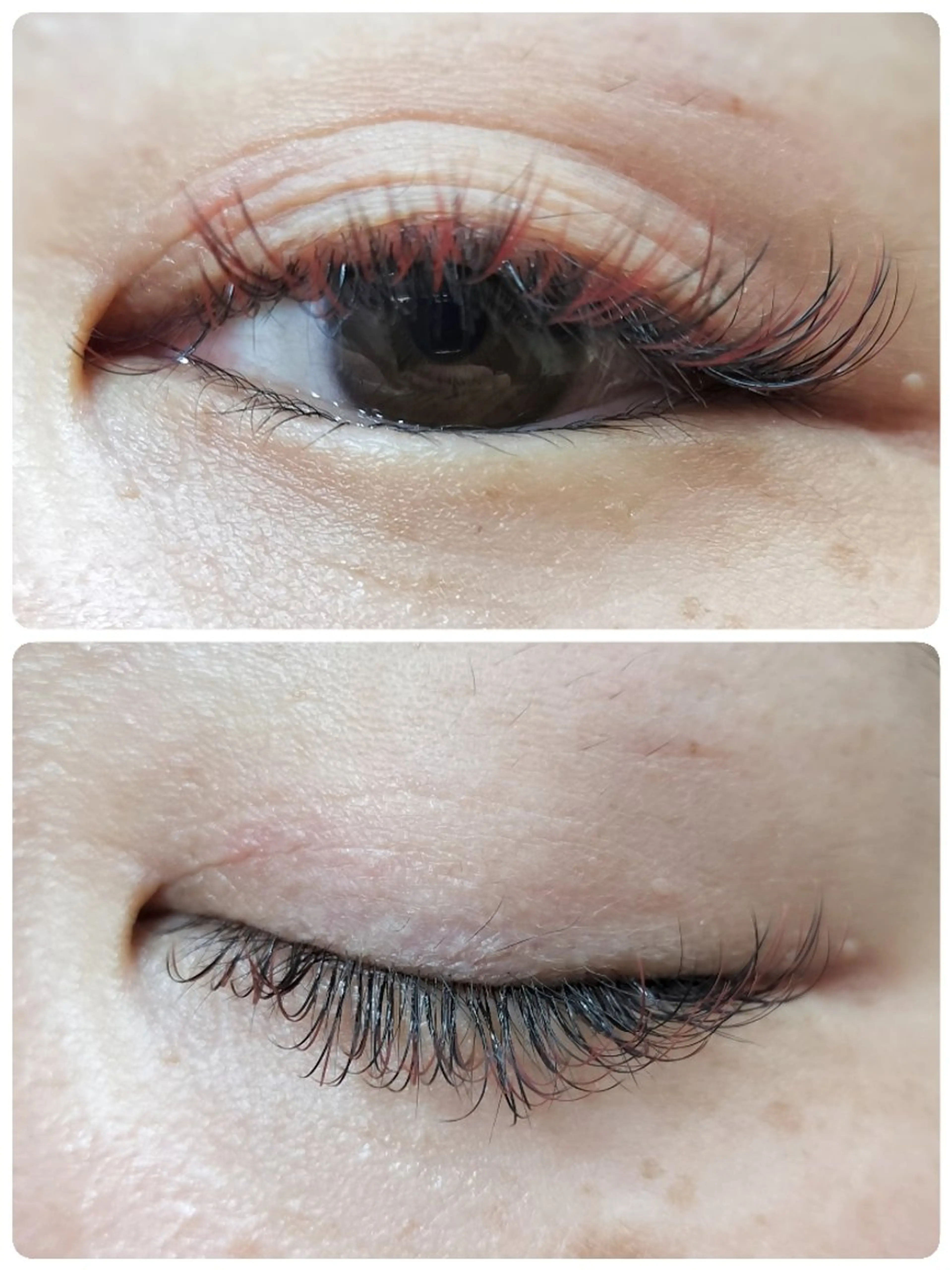 マツエク・マツパ arms lash 白井のマツエク・マツパデザイン