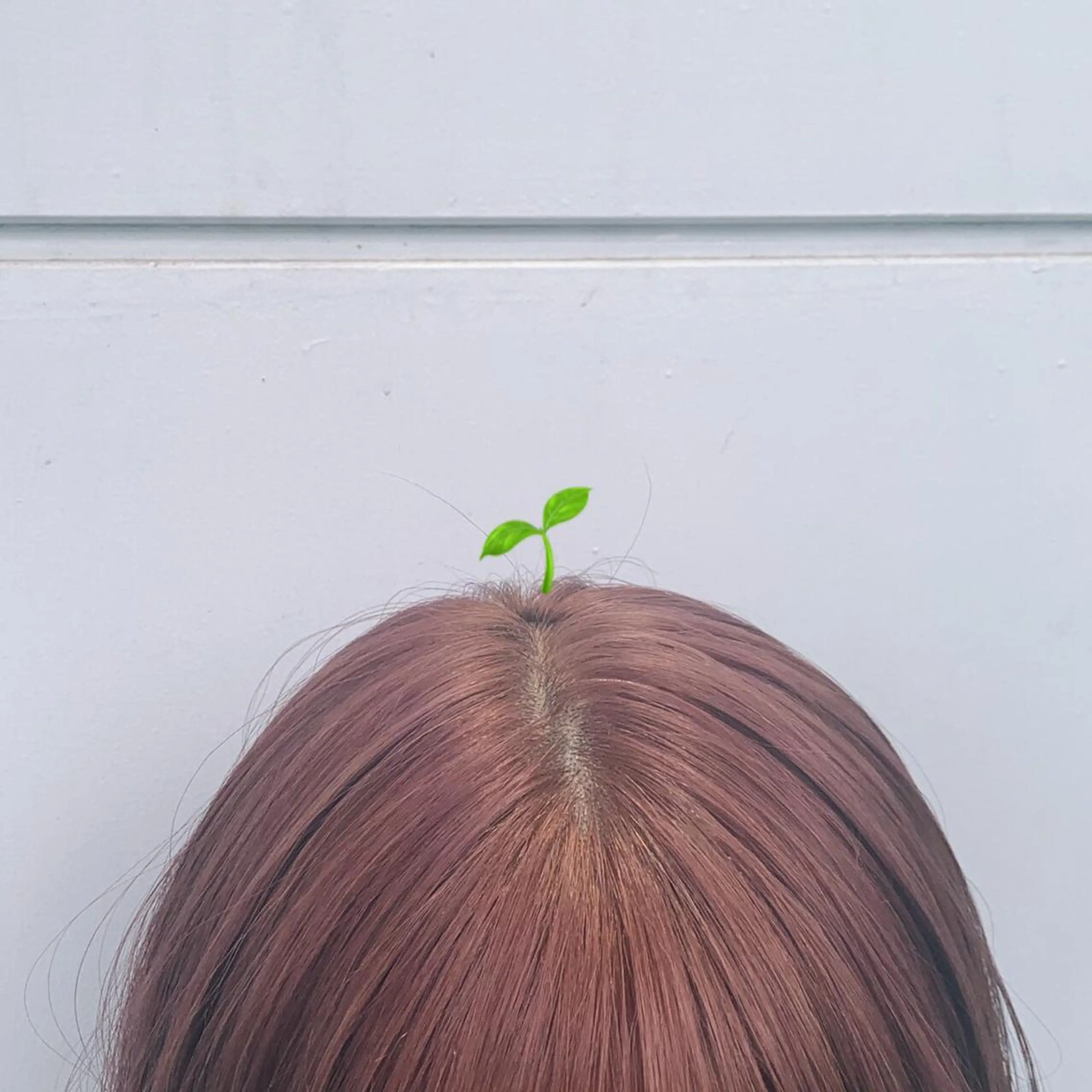 ミディアム ヘアカラー トリートメント 暖色カラー推し/ トヤエリコのヘアスタイル