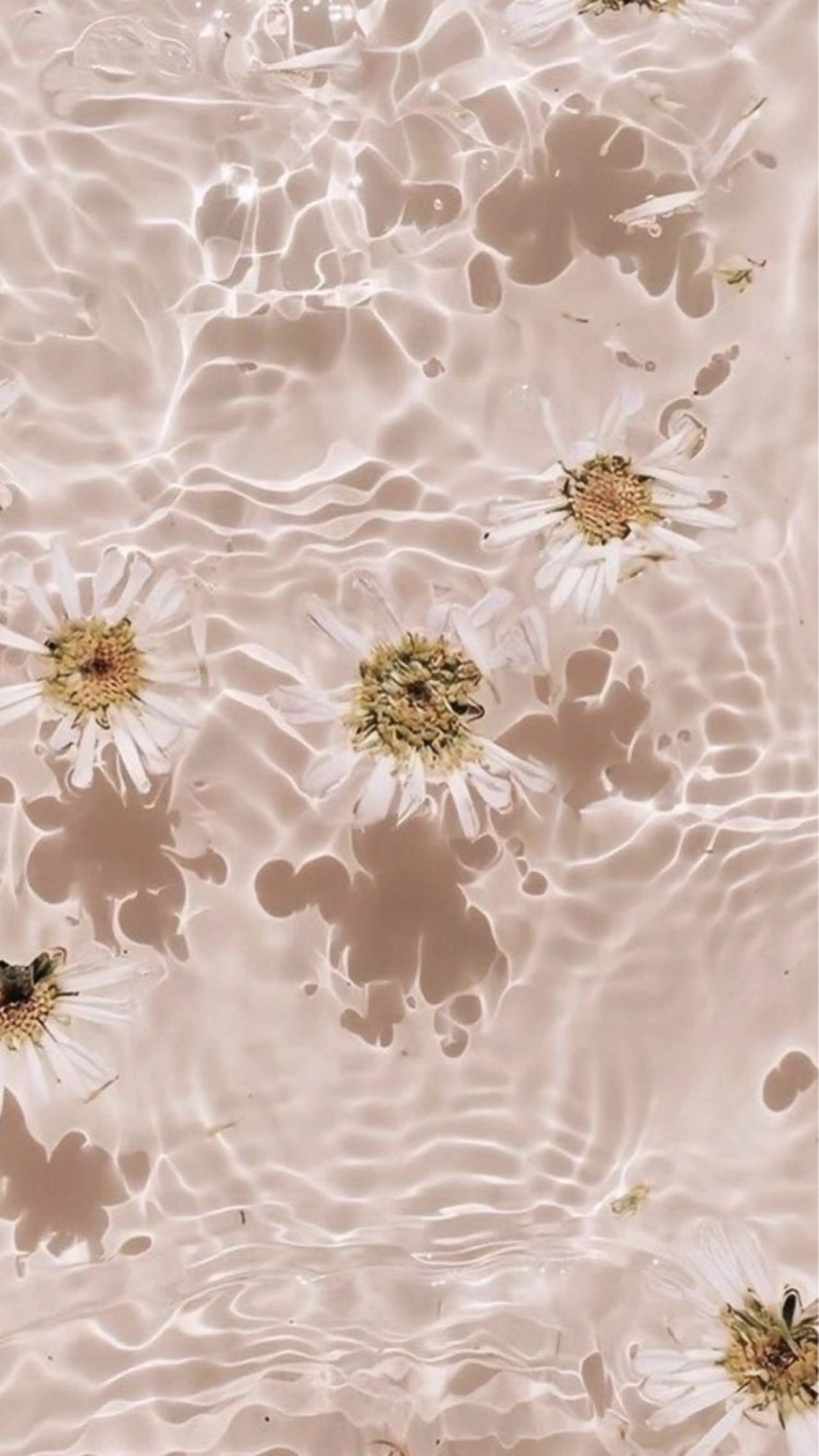 マツエク・マツパ 上村ひかる🫧束感 パリエク/マツパのマツエク・マツパデザイン