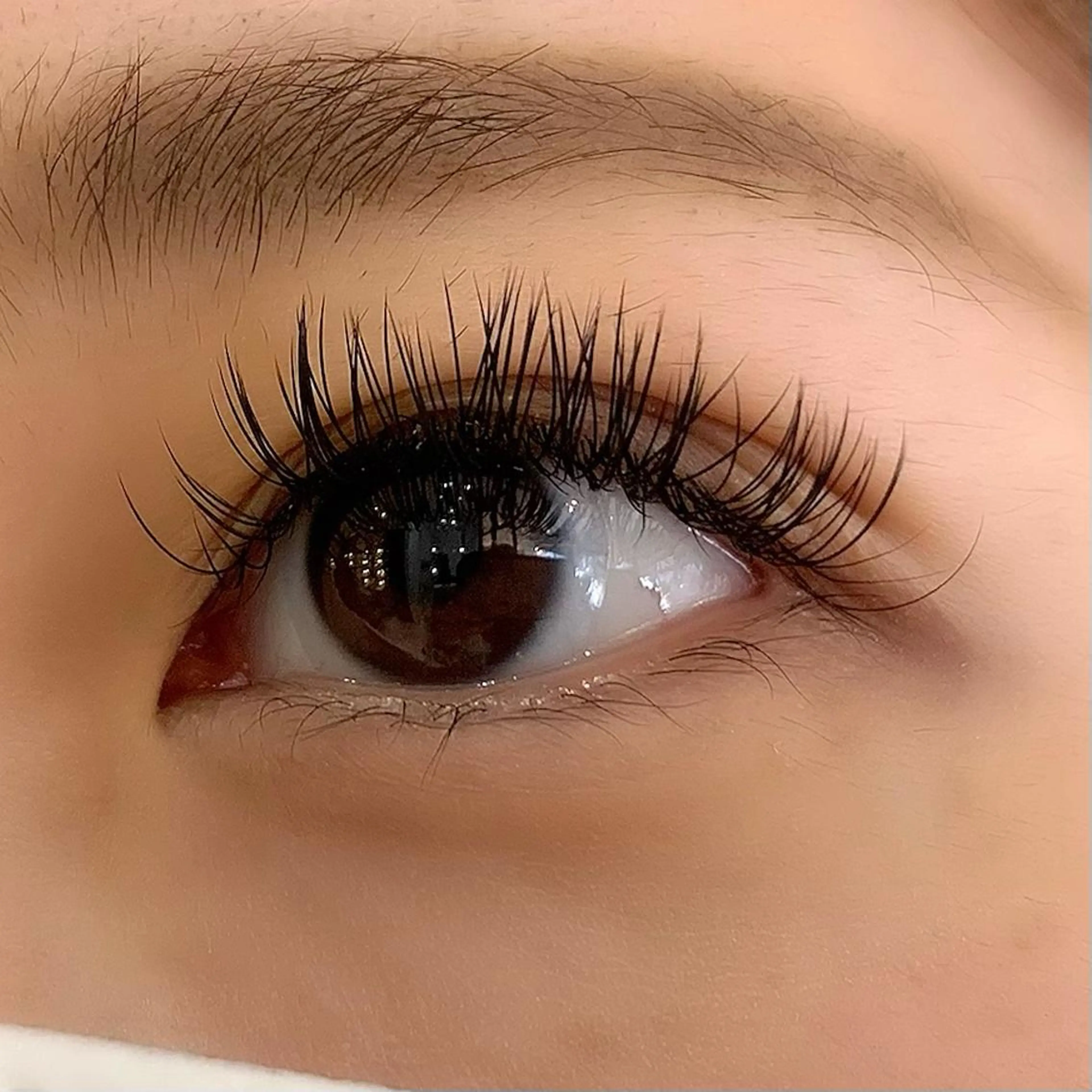 マツエク・マツパ フラットラッシュ Celeste Venus所属・🧸Celeste Venusのマツエク・マツパデザイン