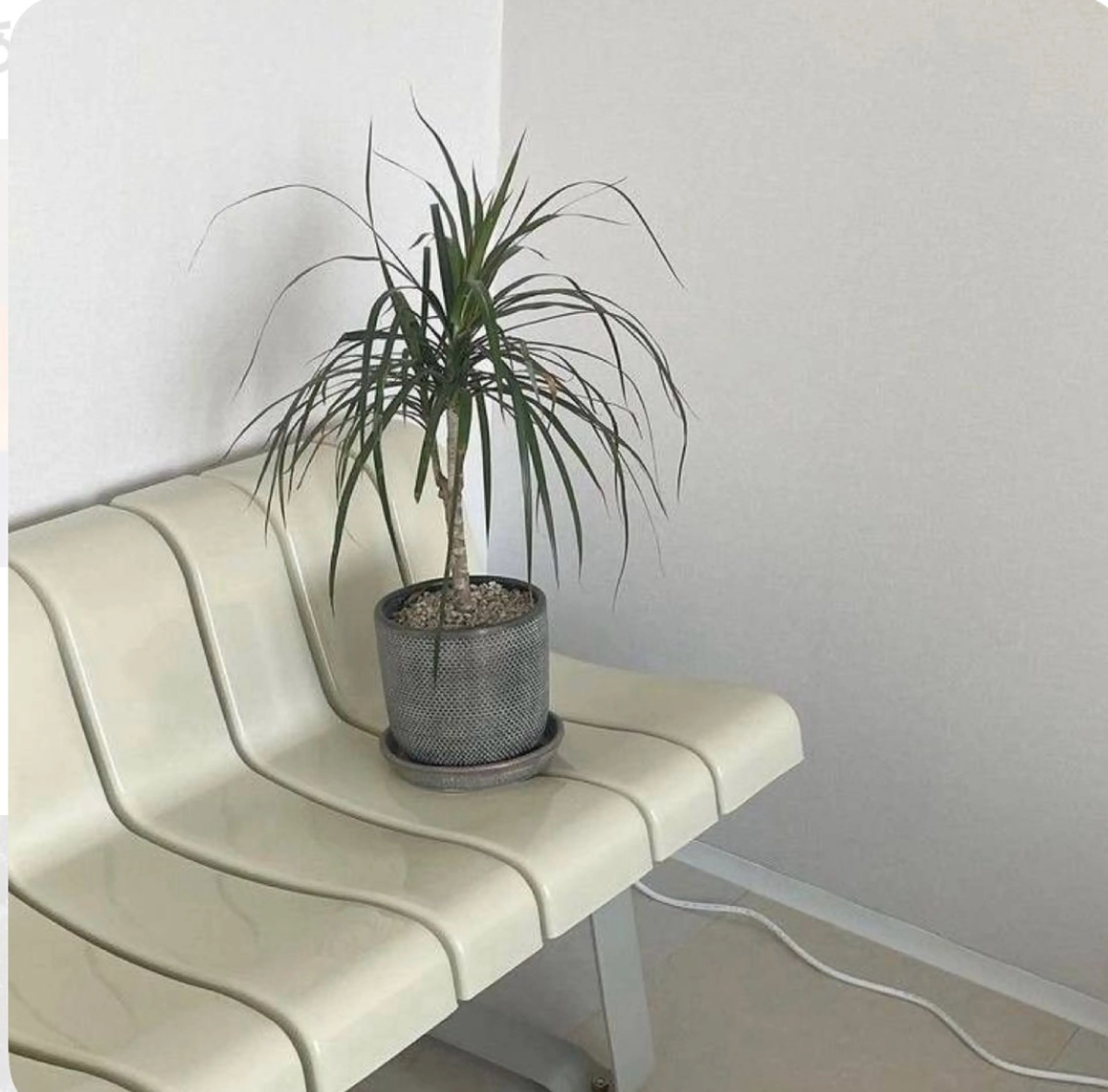 アイブロウ その他(アイブロウ) eyelly🌿 nanaの眉毛・アイブロウイメージ