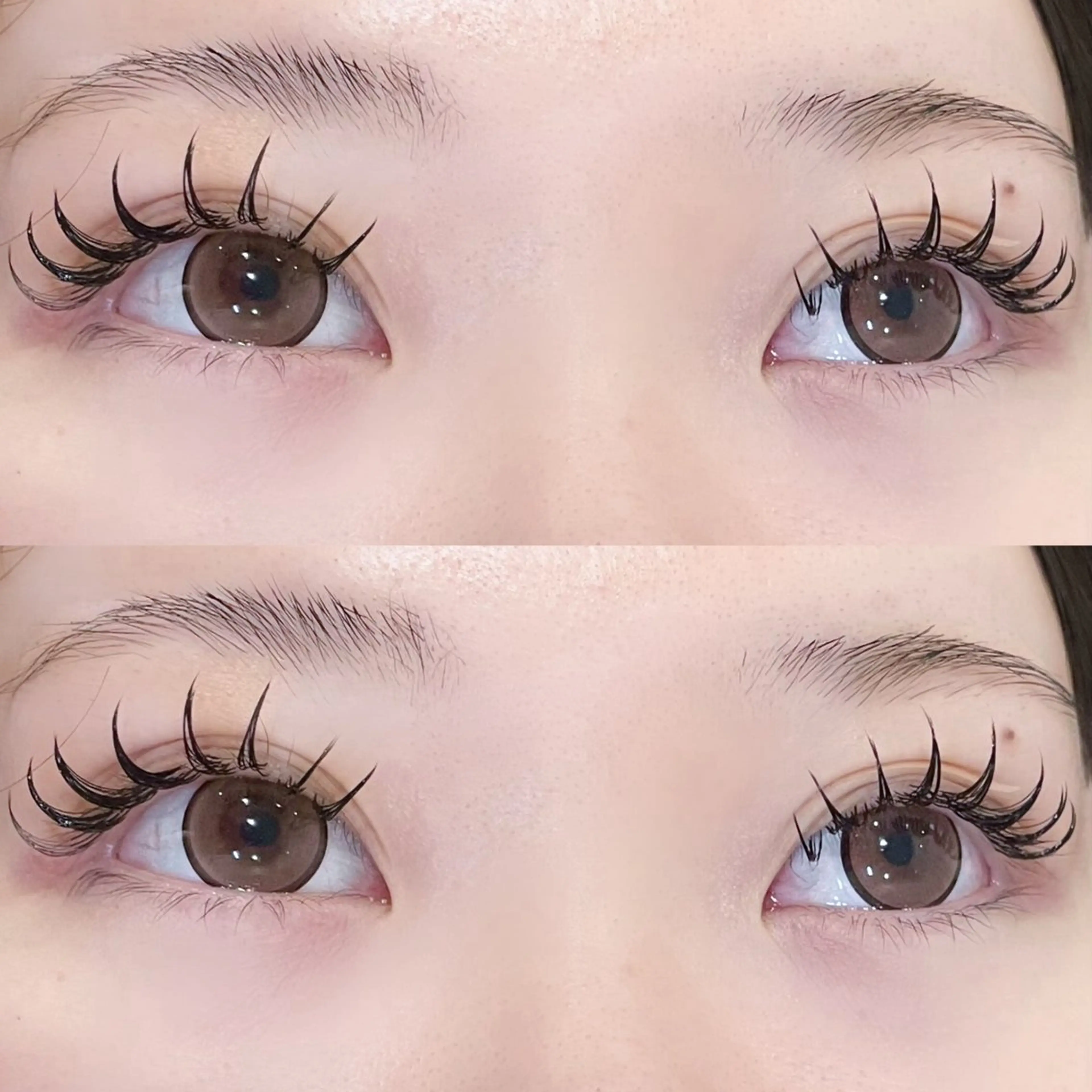 マツエク・マツパ 付け放題 CCカール Cカール フラットラッシュ Eye ELSA lash🤍東のマツエク・マツパデザイン