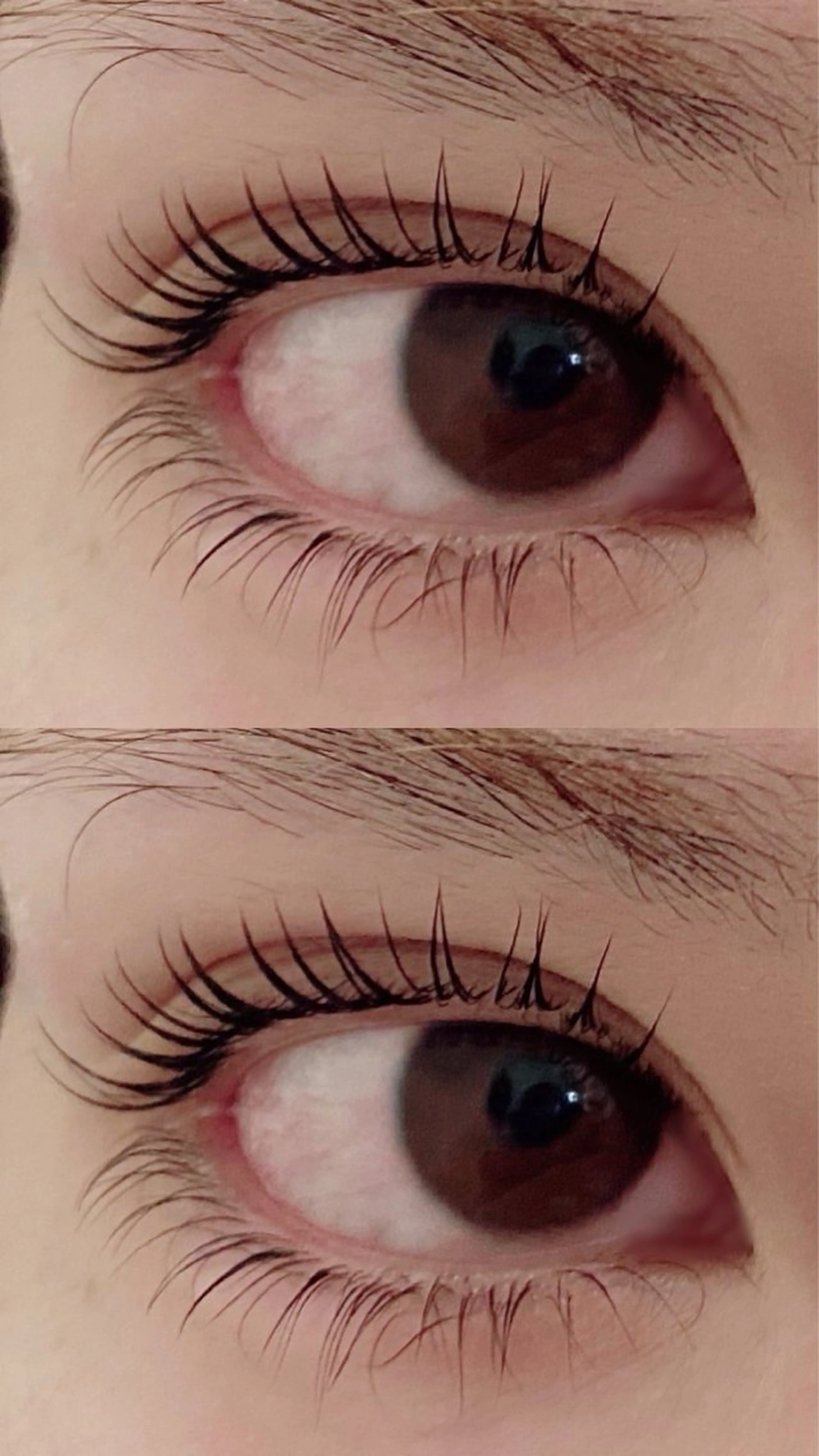 マツエク・マツパ CREA所属・木村 姫星の眉毛・アイブロウイメージ