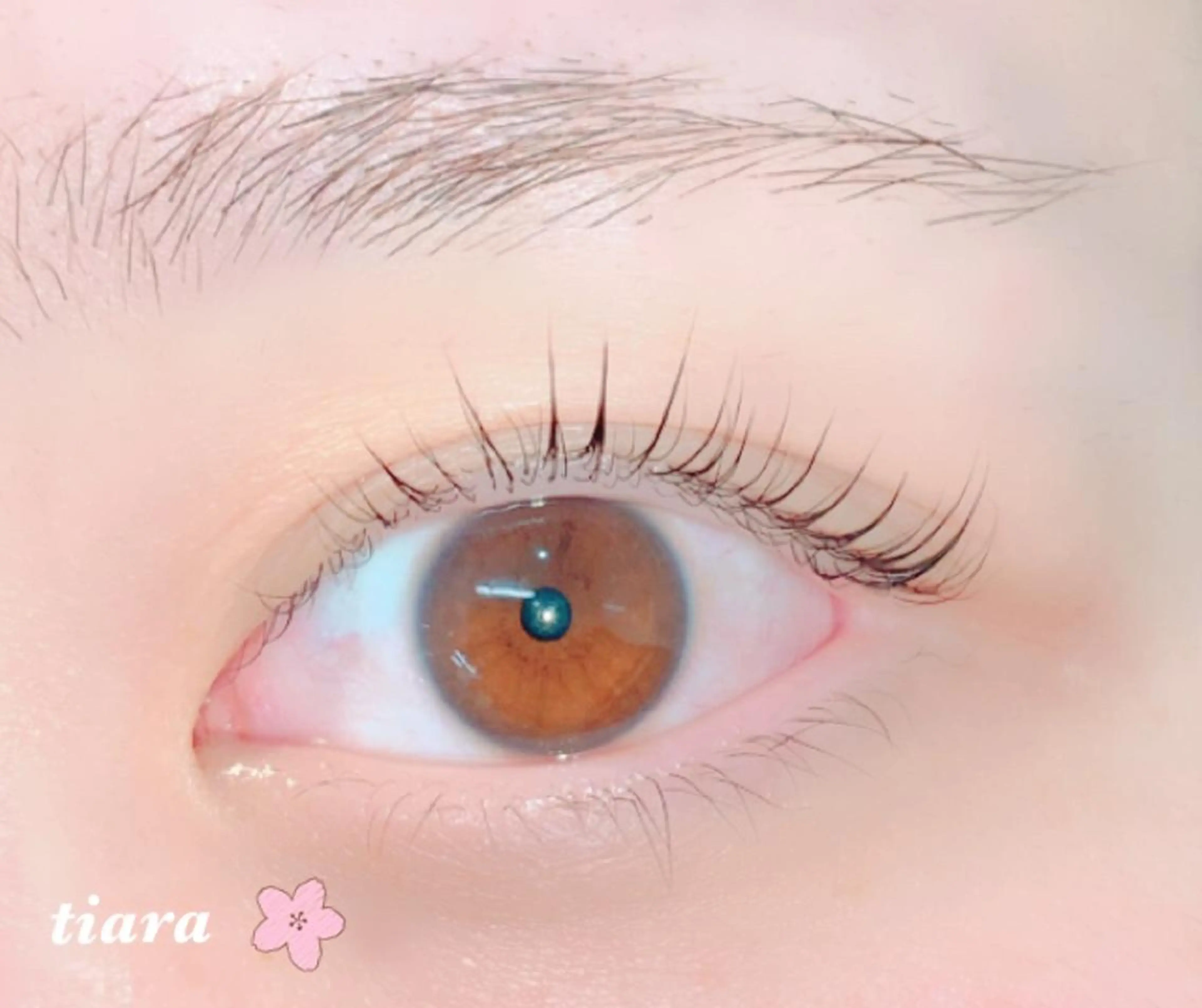 マツエク・マツパ 束感まつ毛 パリジェンヌラッシュリフト tiara所属・福田 明日香のマツエク・マツパデザイン