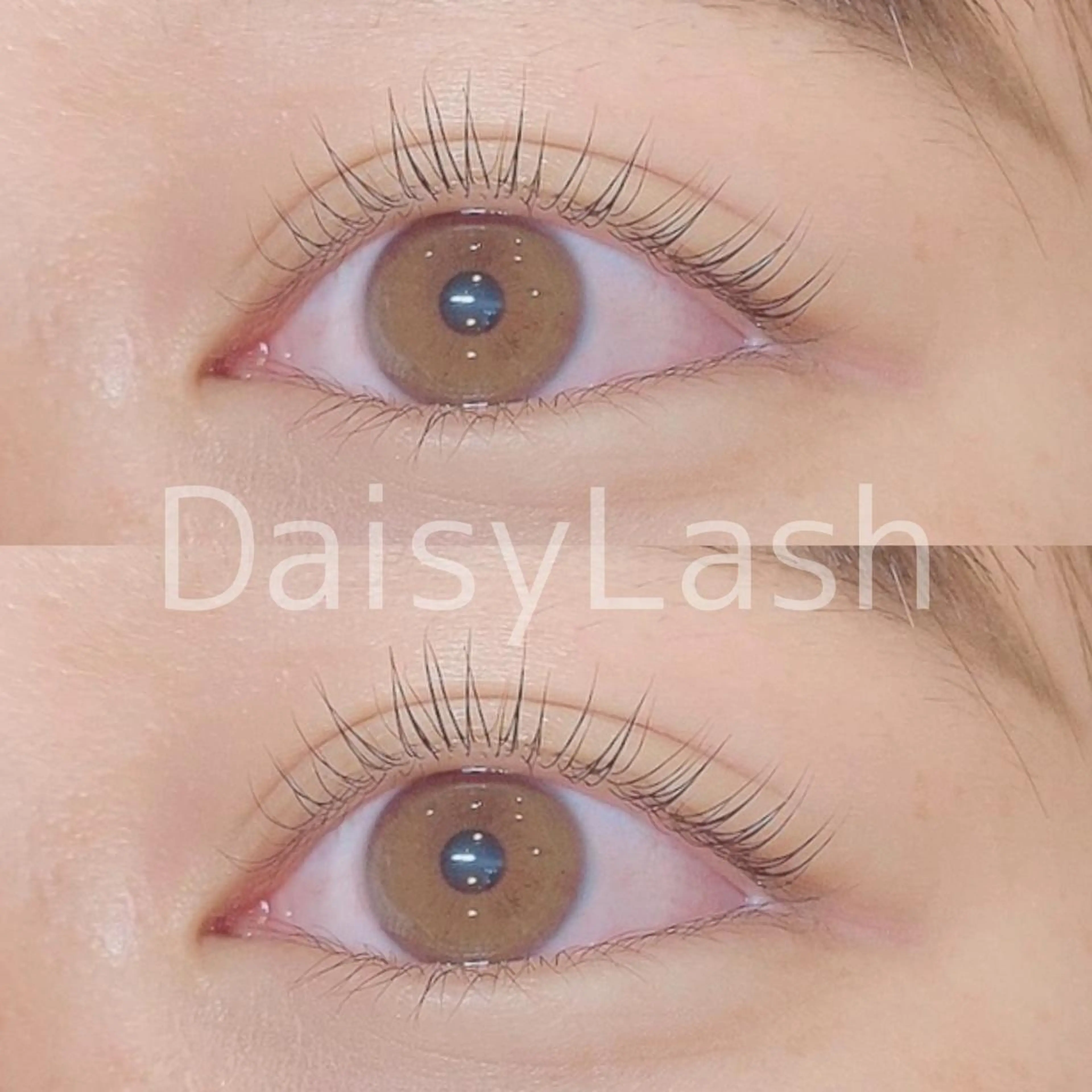 マツエク・マツパ DaisyLash 京橋店のマツエク・マツパデザイン
