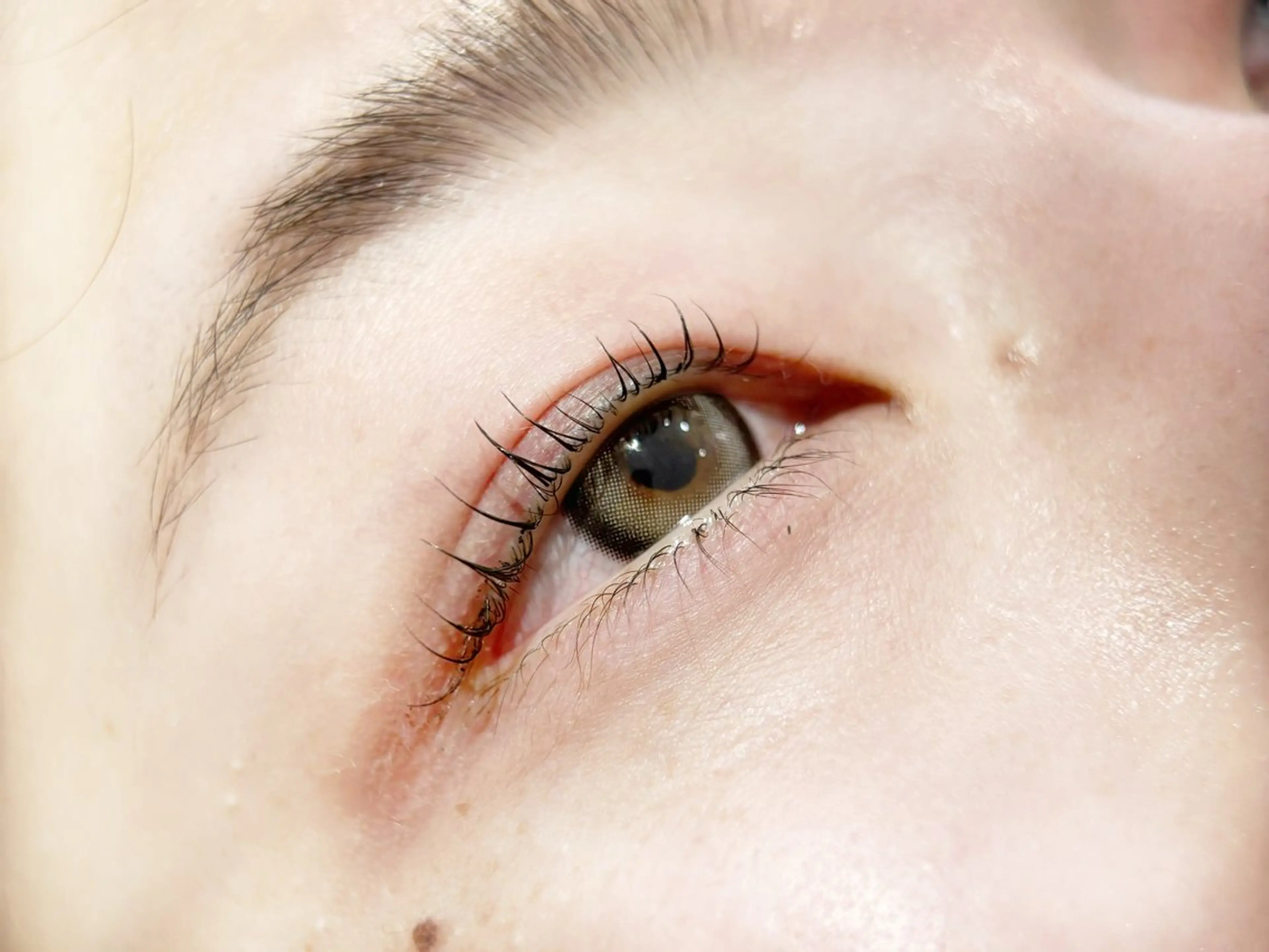 パリジェンヌラッシュリフト ¥5,000→¥3,000の写真