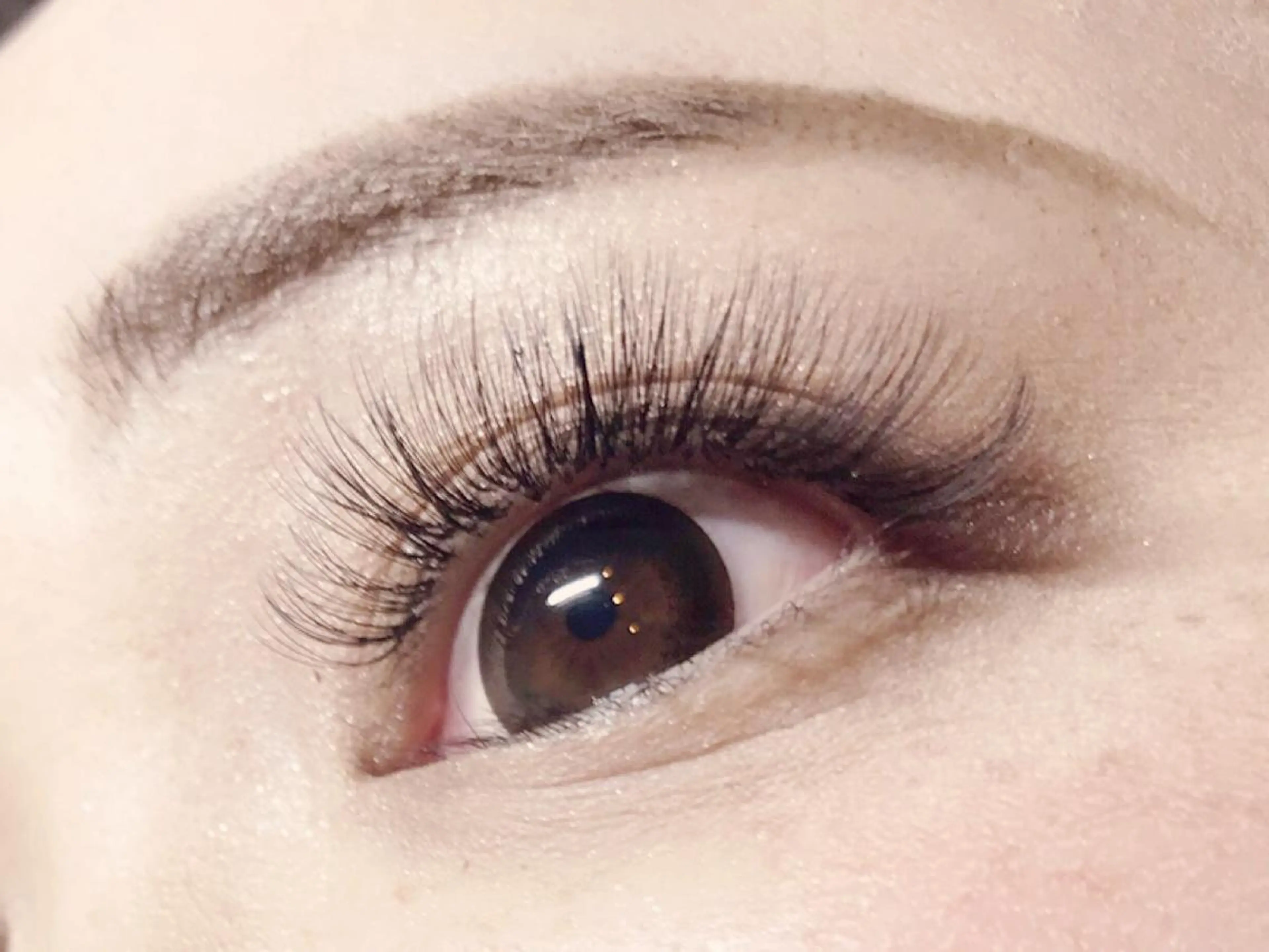 ボリュームラッシュ200本(オフ込)     ¥6,600の写真